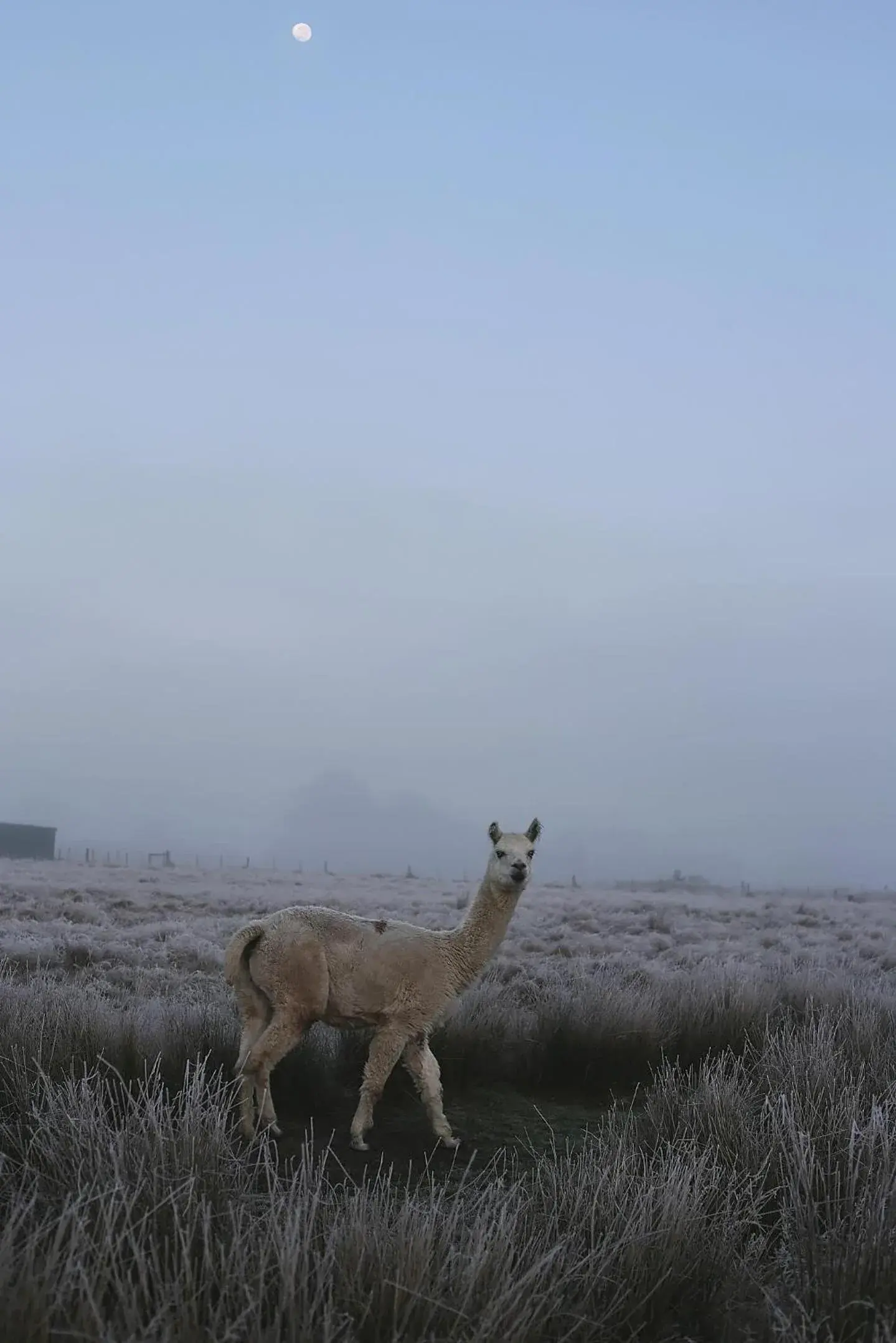View (from property/room) in Cleveland Estate View (from property/room) in Cleveland Estate