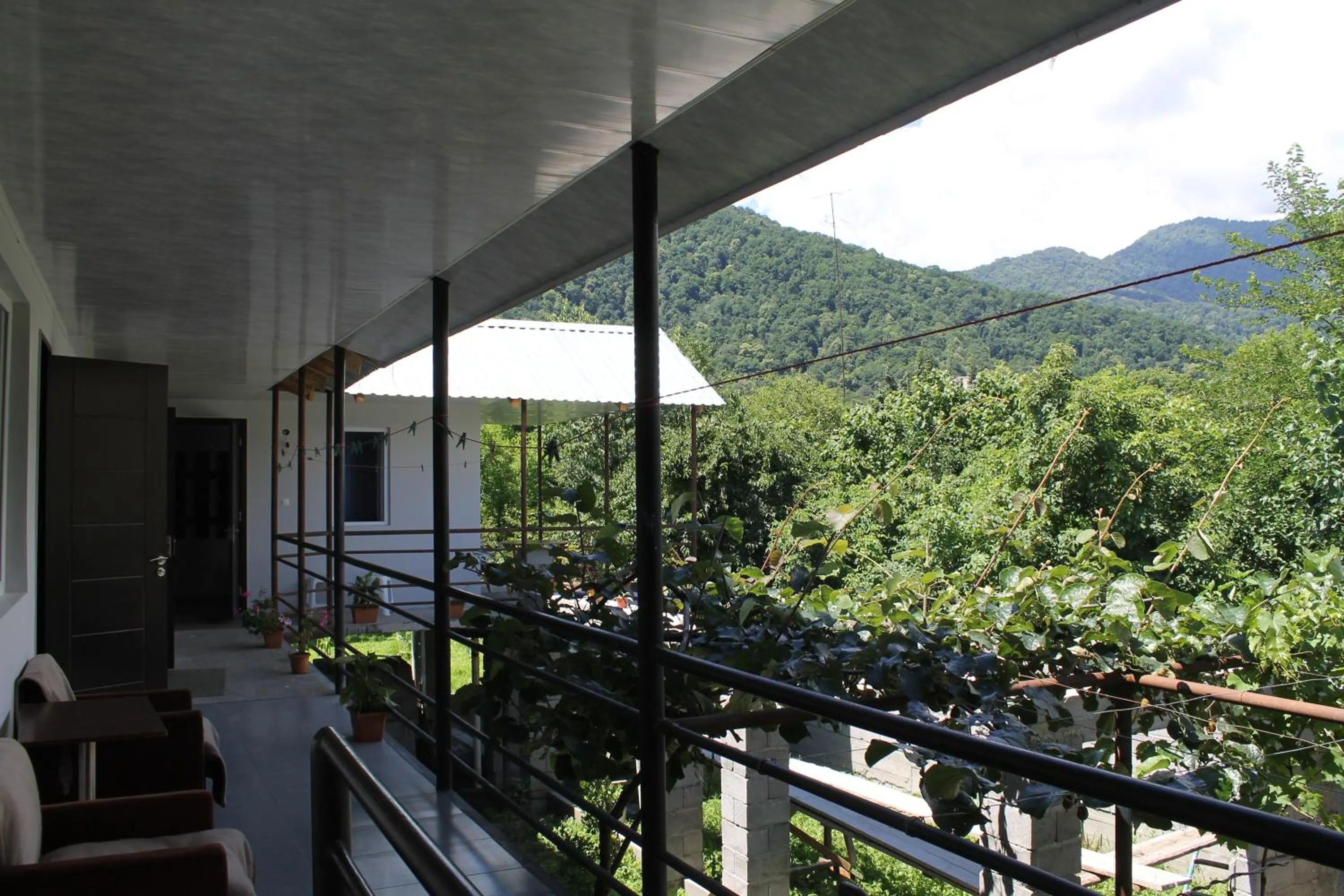 The Kiwi House