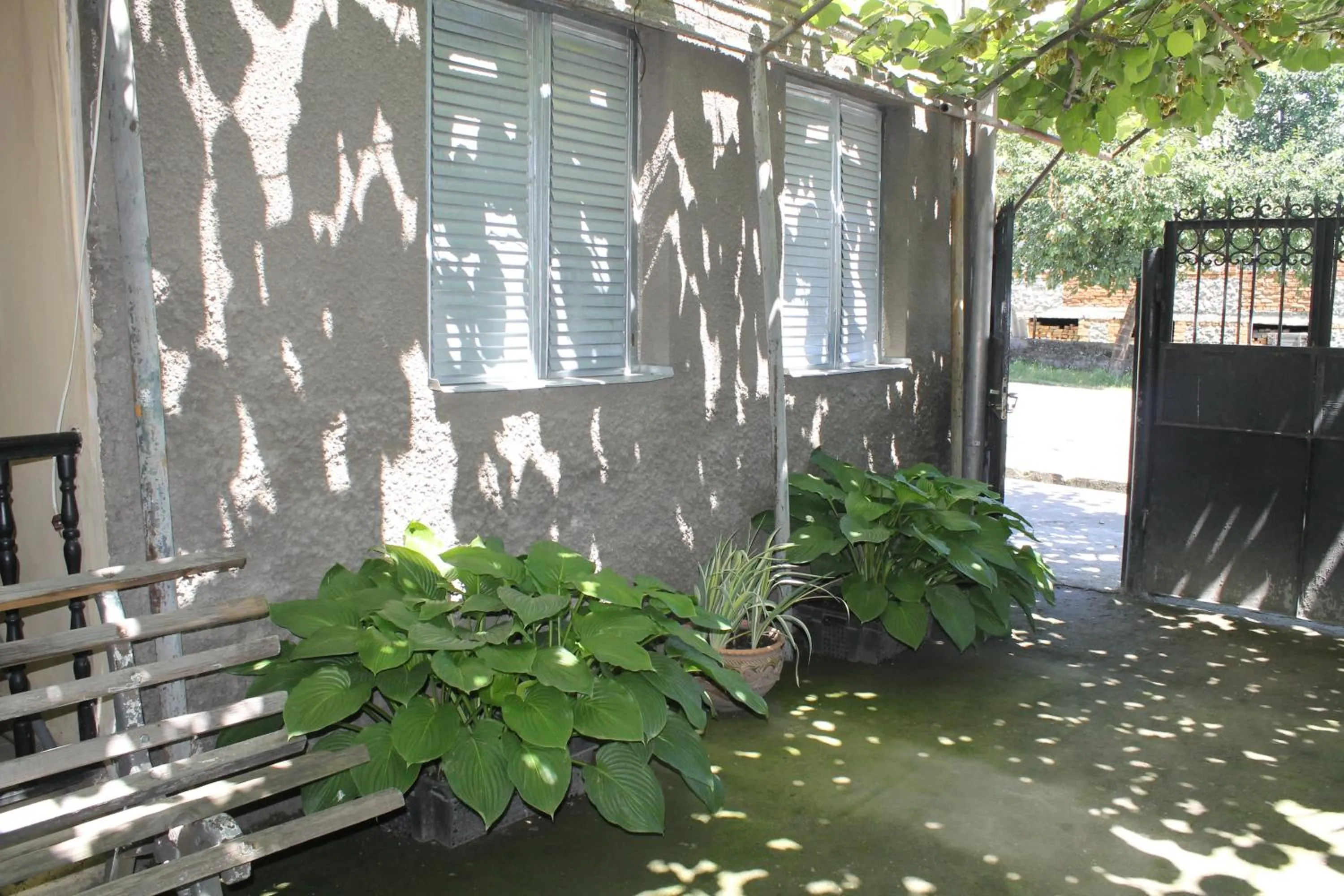 The Kiwi House