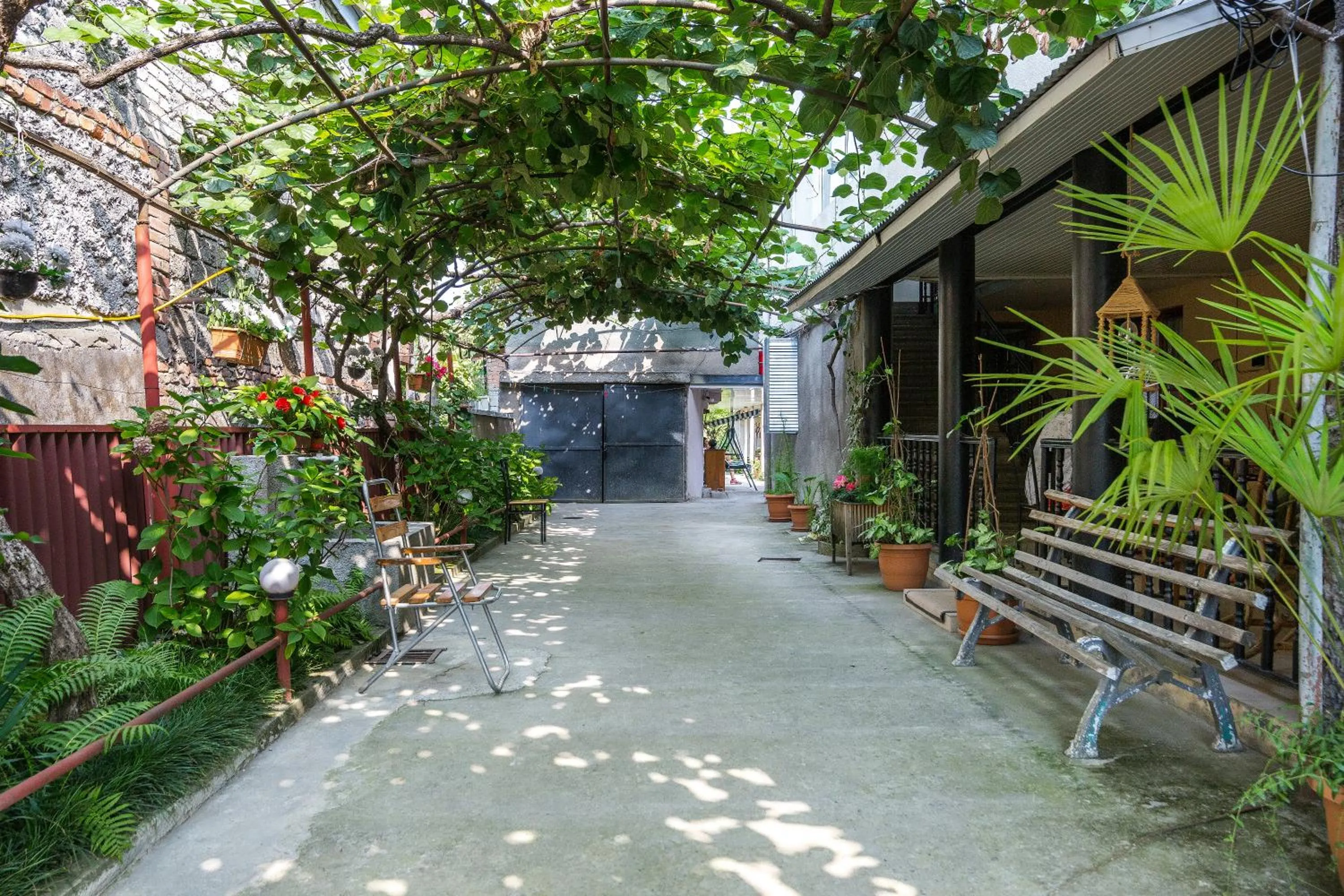 The Kiwi House