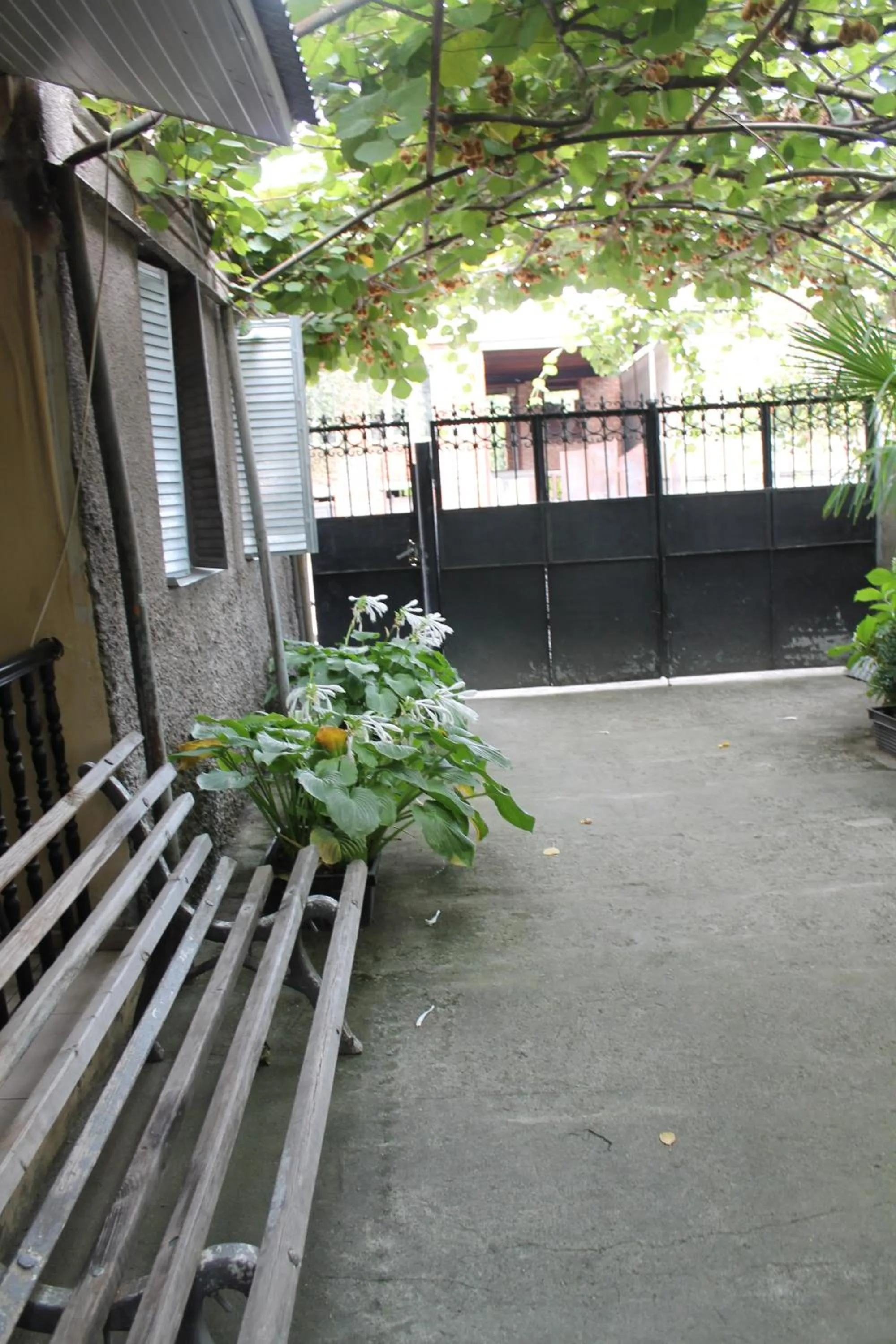 Property building in The Kiwi House