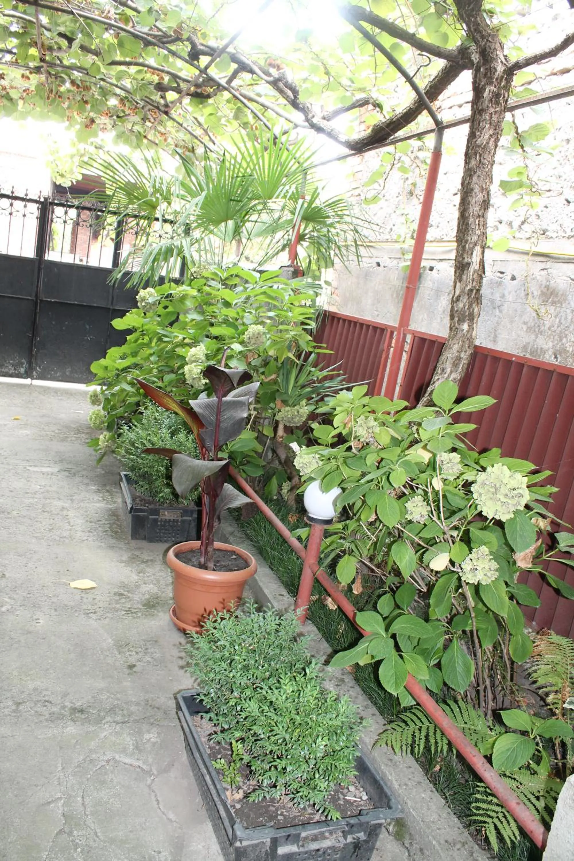 Property building in The Kiwi House