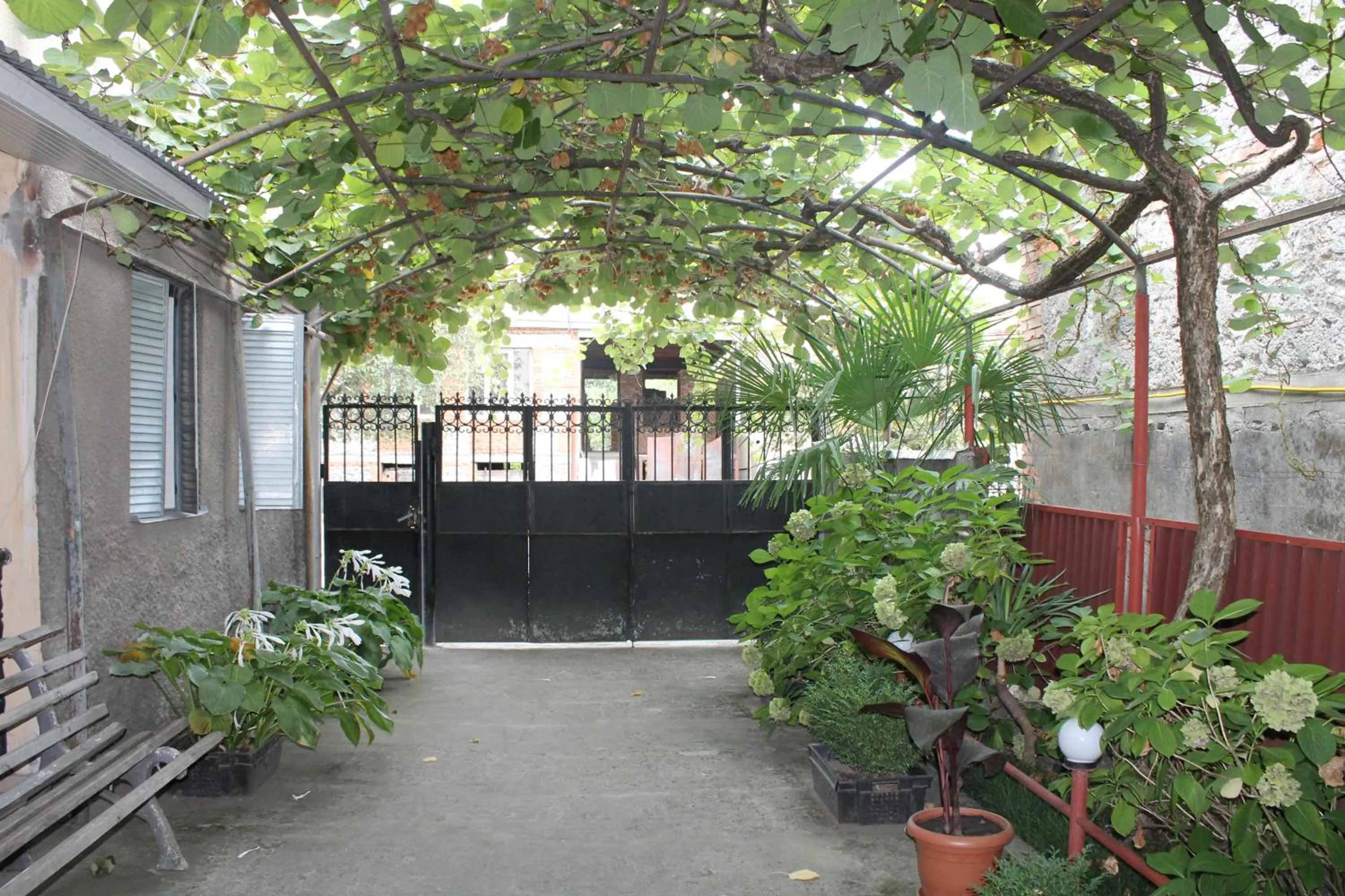 Property building in The Kiwi House