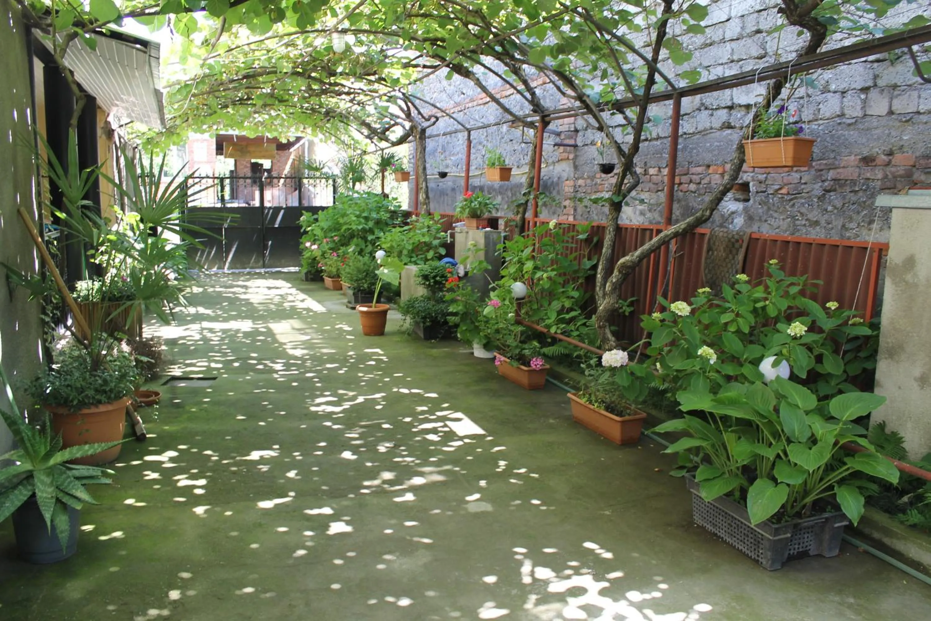 The Kiwi House