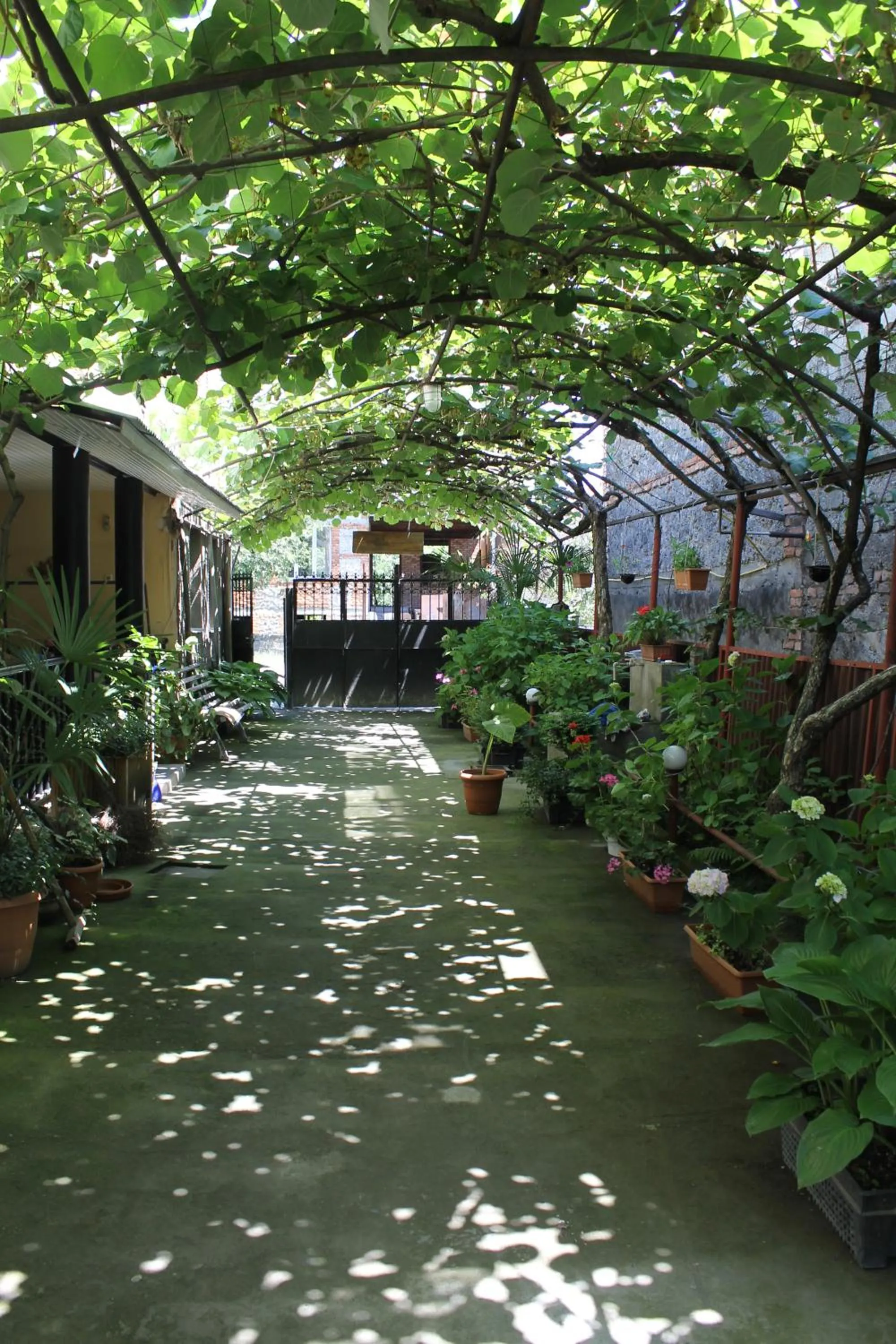 The Kiwi House
