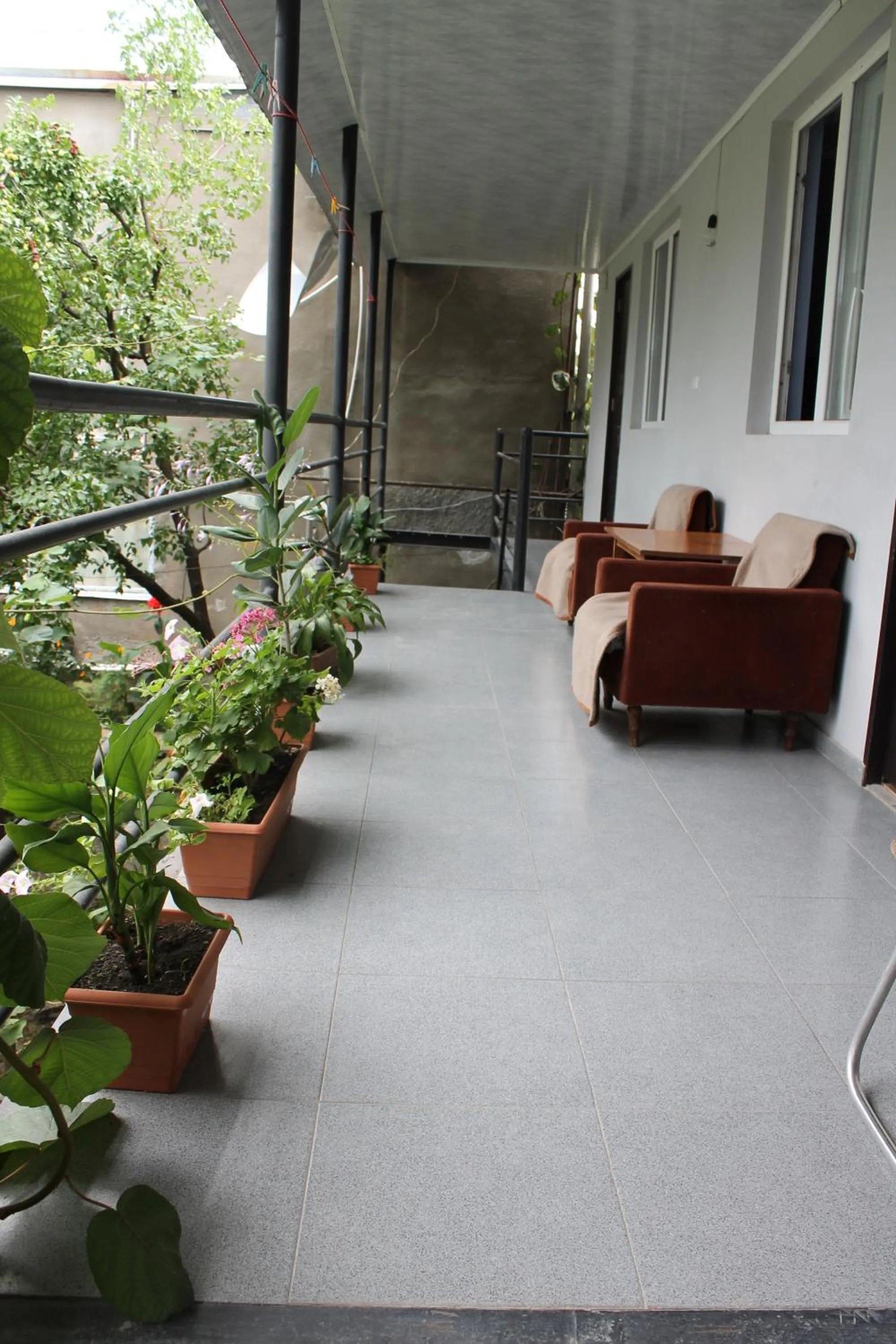 Property building in The Kiwi House