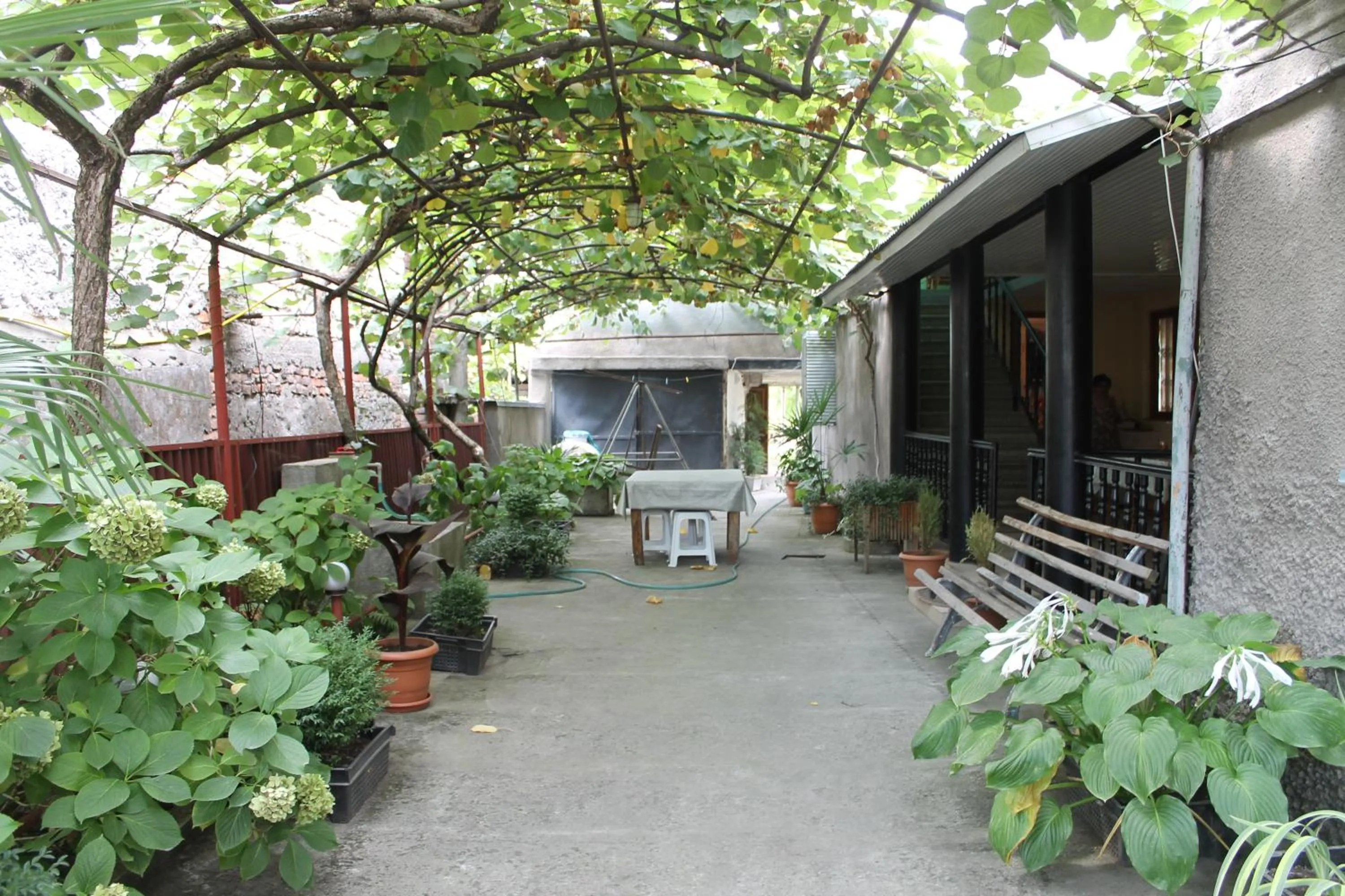 Property building in The Kiwi House