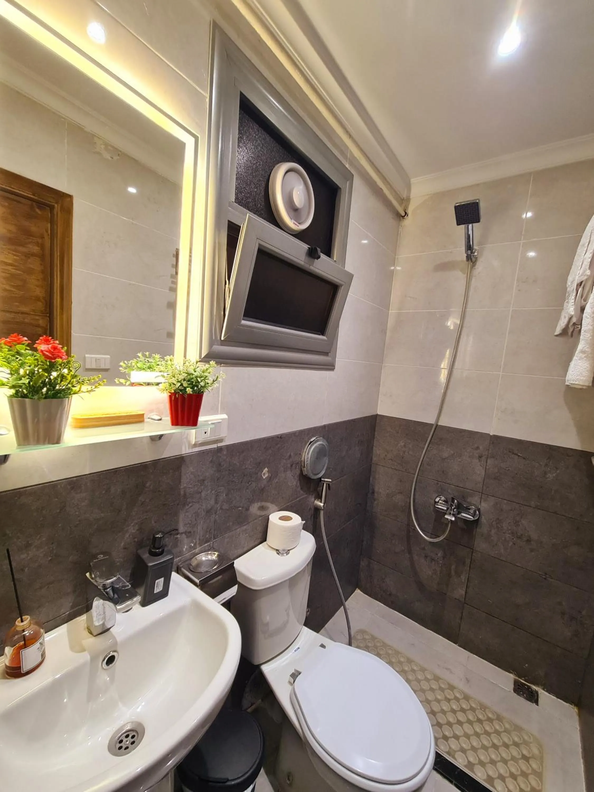 Shower in tourist hotel cairo downtown