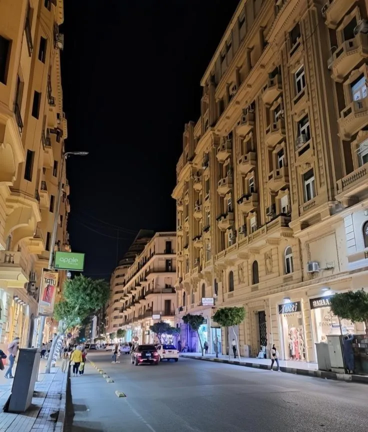 Property building in tourist hotel cairo downtown