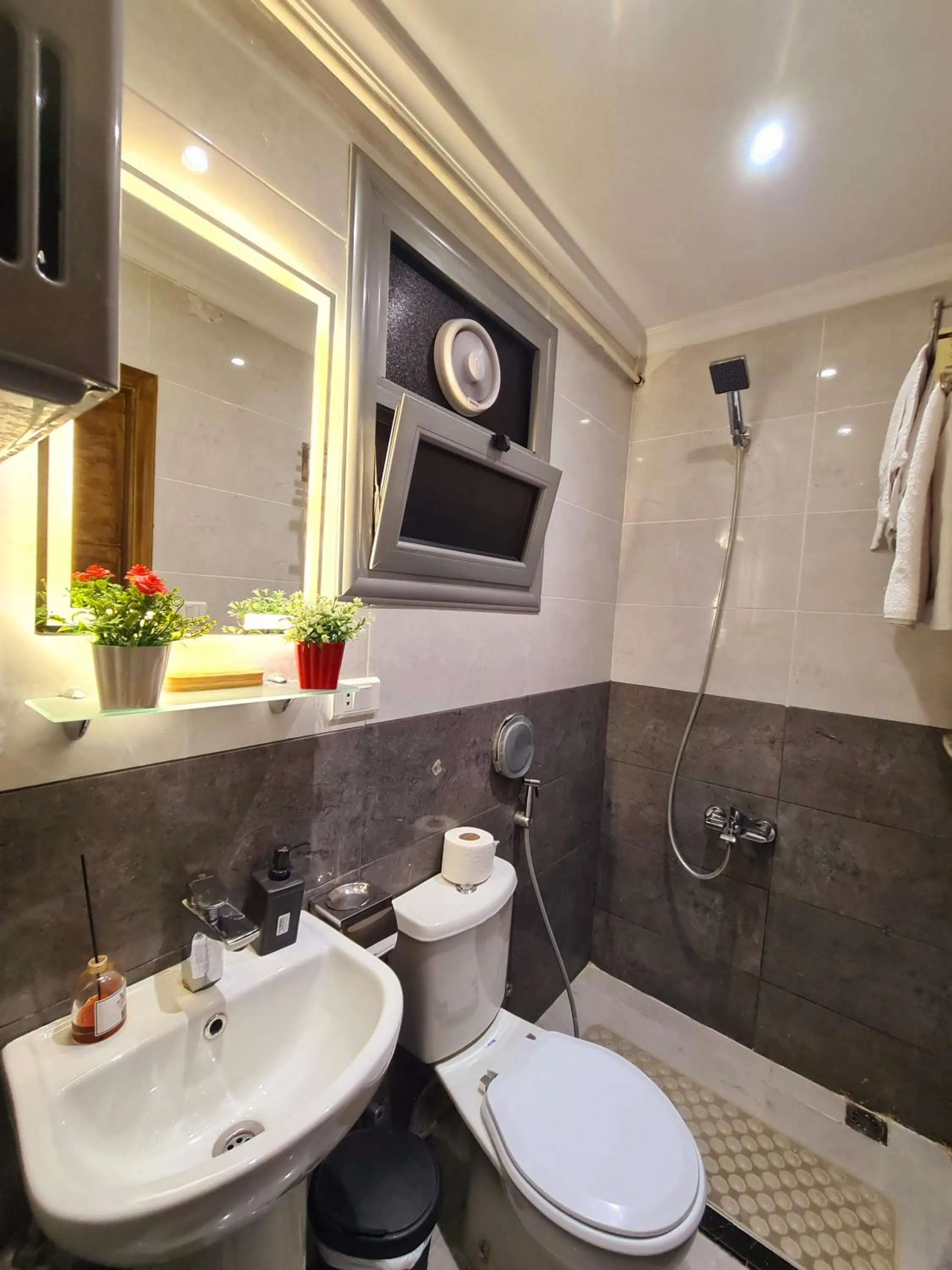 Shower in tourist hotel cairo downtown