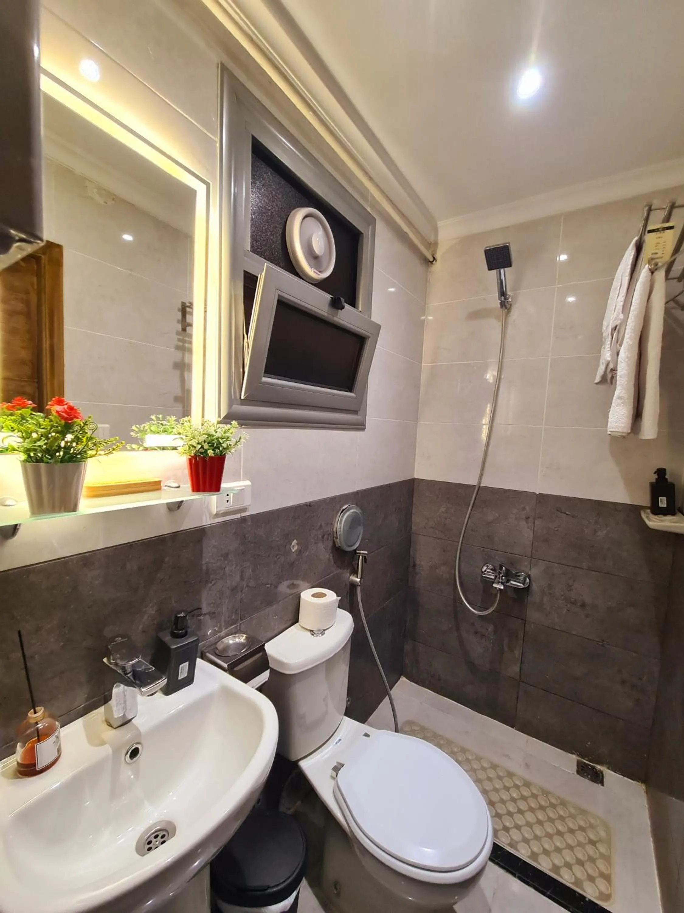 Shower in tourist hotel cairo downtown