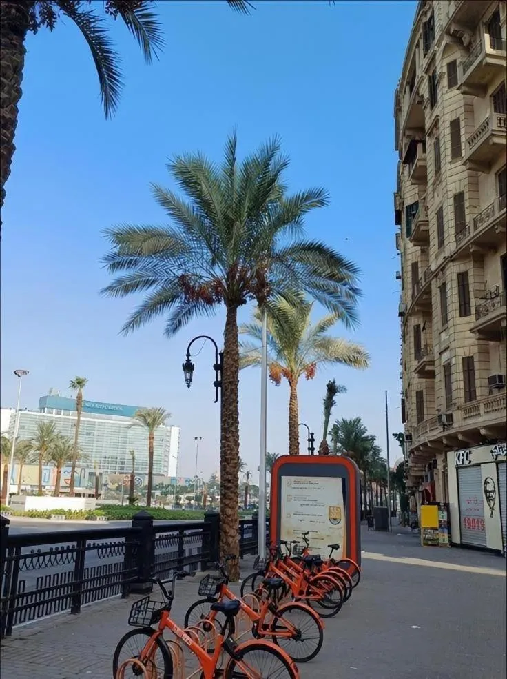 Property building in tourist hotel cairo downtown