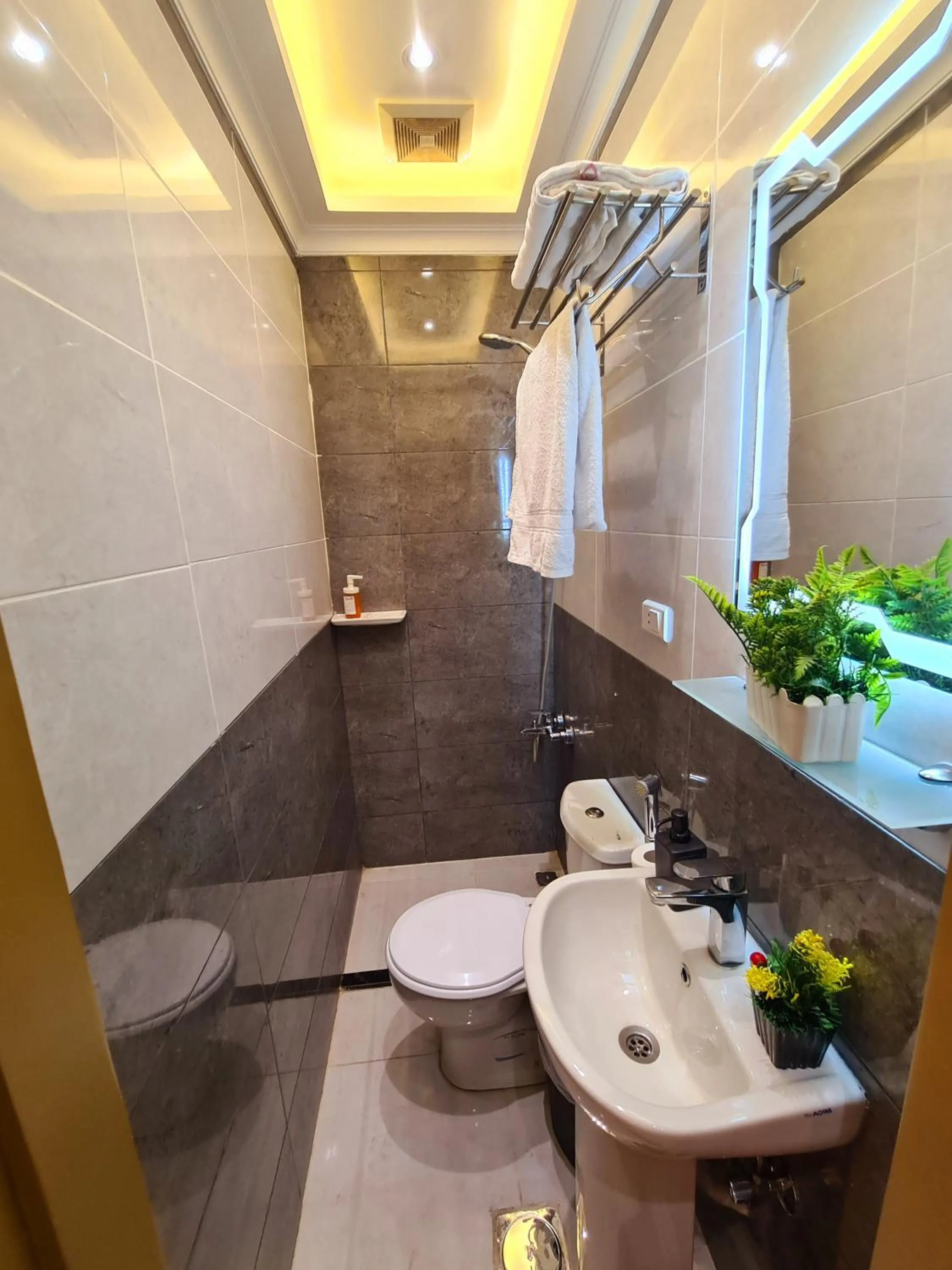 Shower in tourist hotel cairo downtown