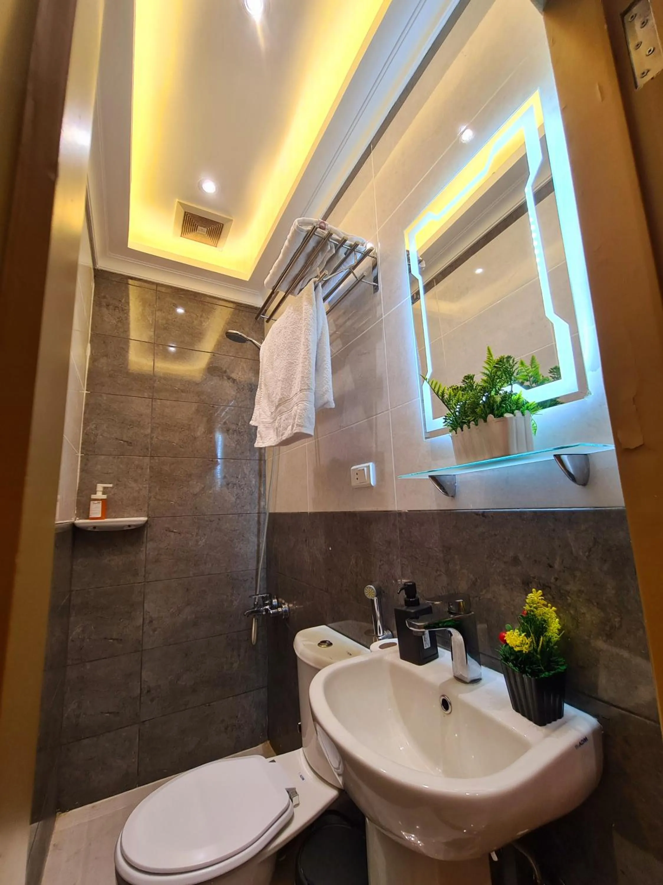 Shower in tourist hotel cairo downtown