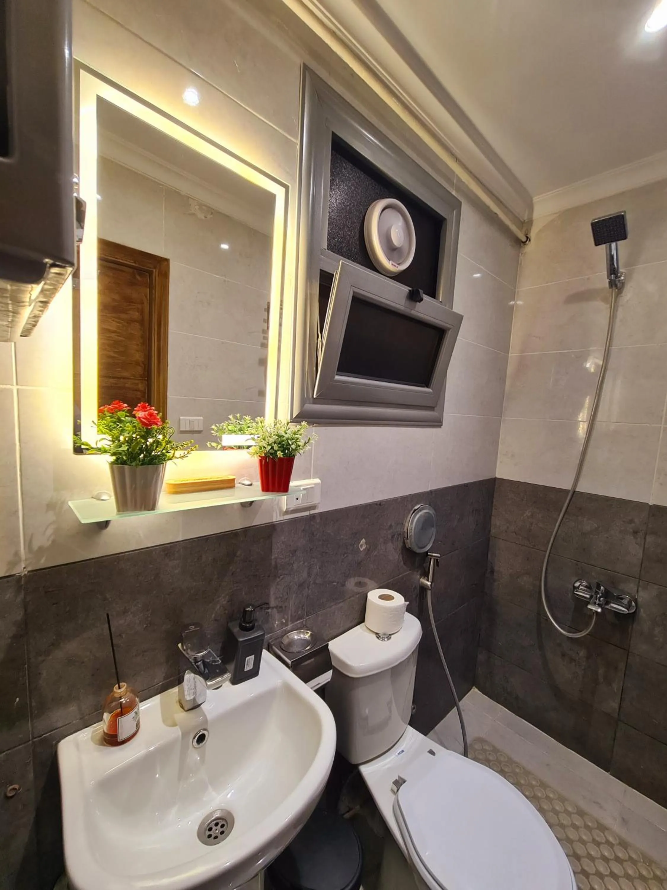 Shower in tourist hotel cairo downtown