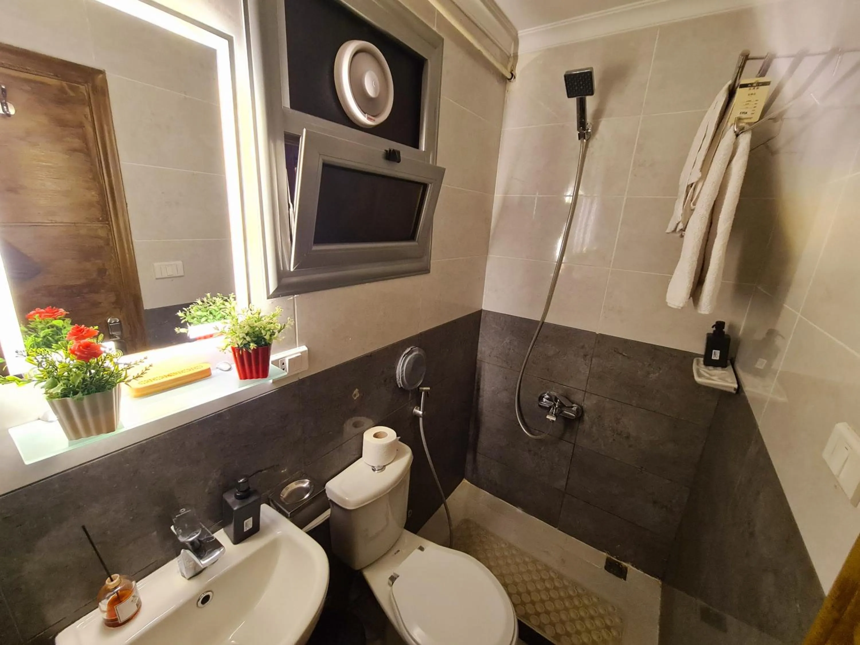 Shower in tourist hotel cairo downtown