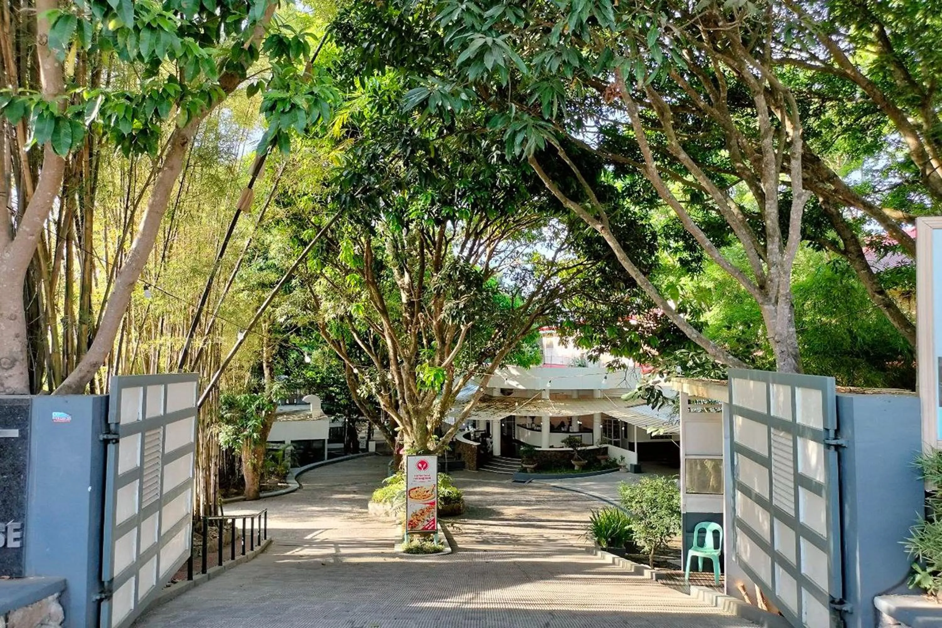 Natural landscape in T House Tagaytay