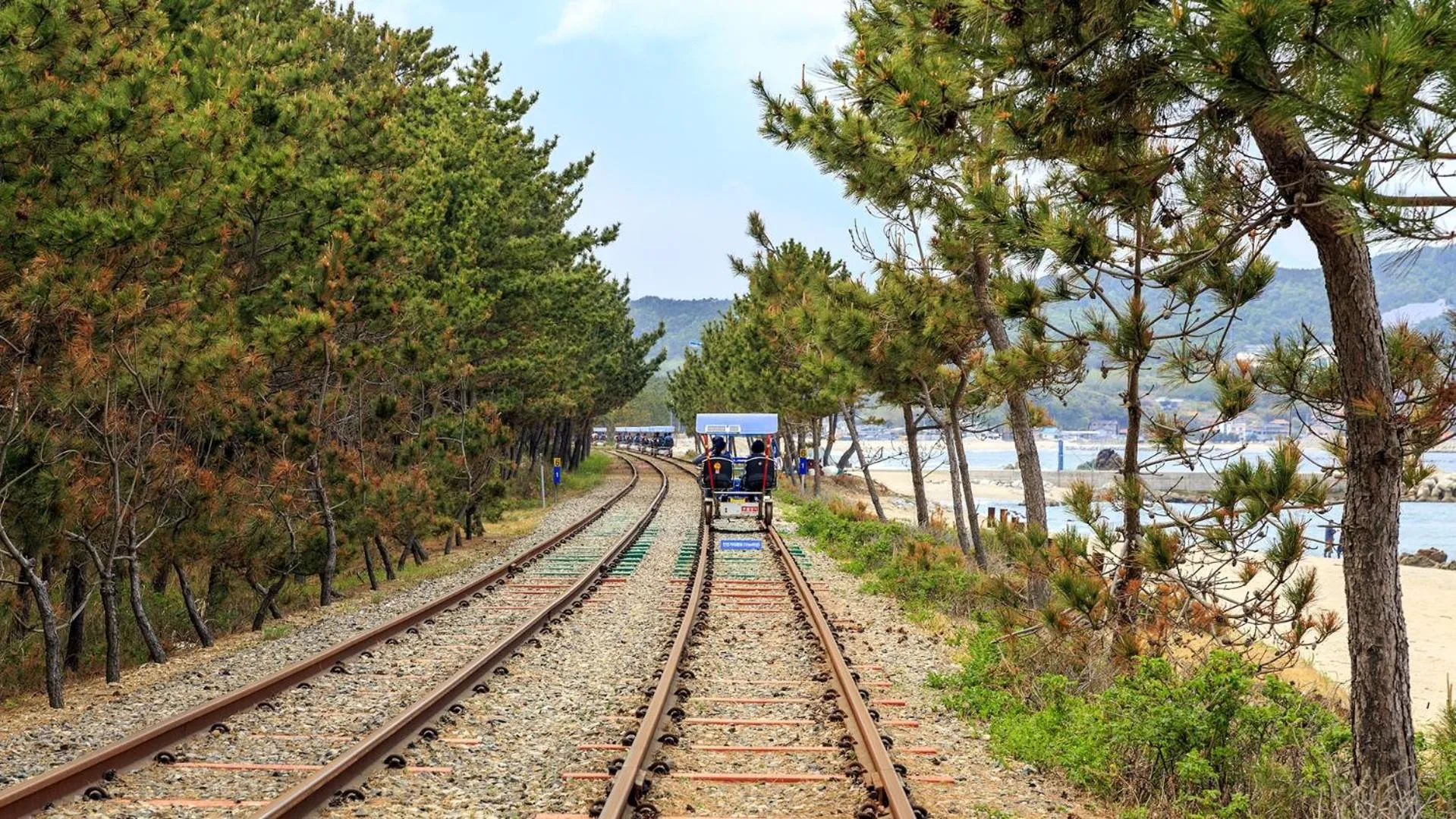 Property building in Samcheok Eoulim Pension