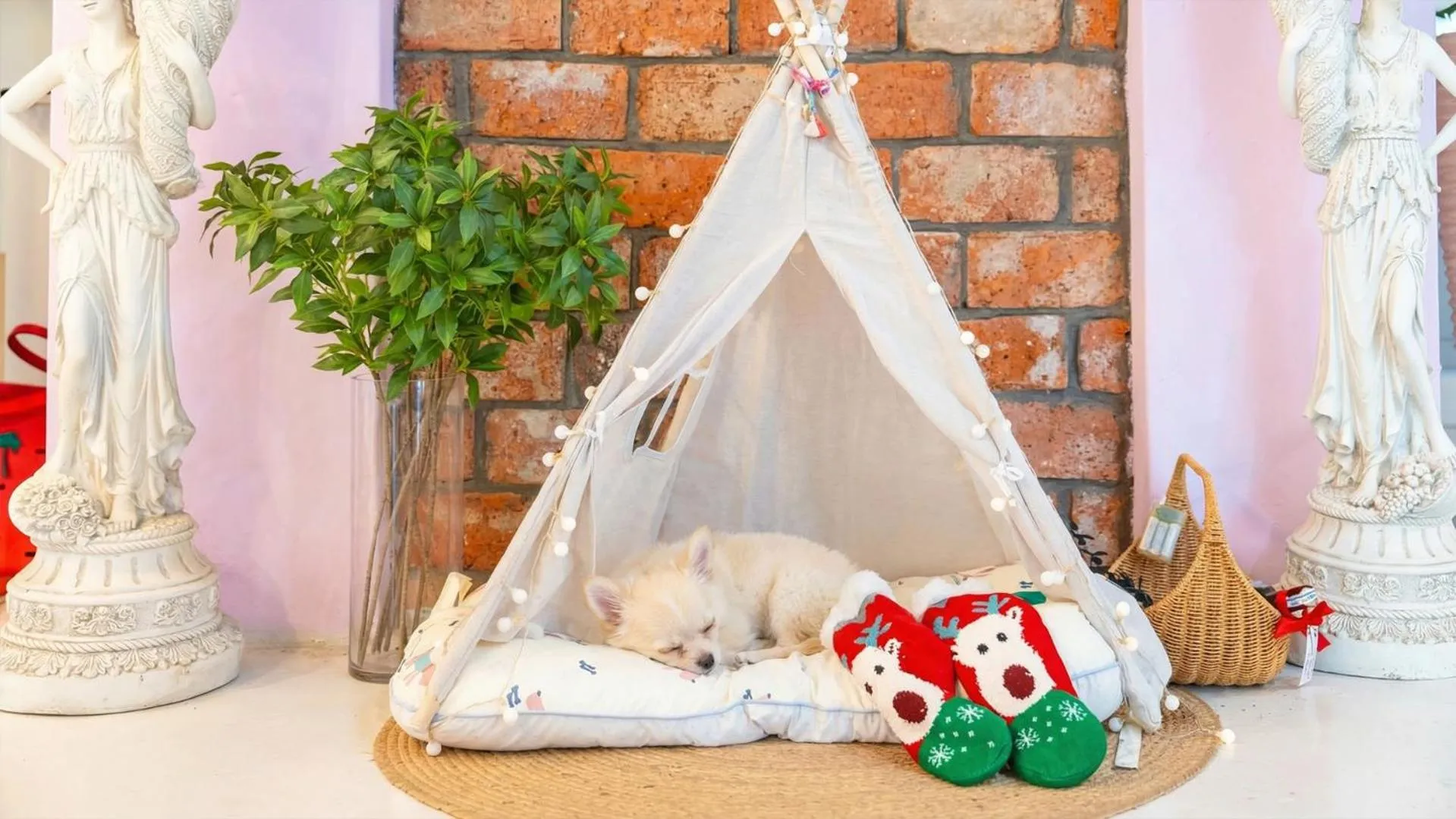 Property building in yangpyeong seojongpool pet pension