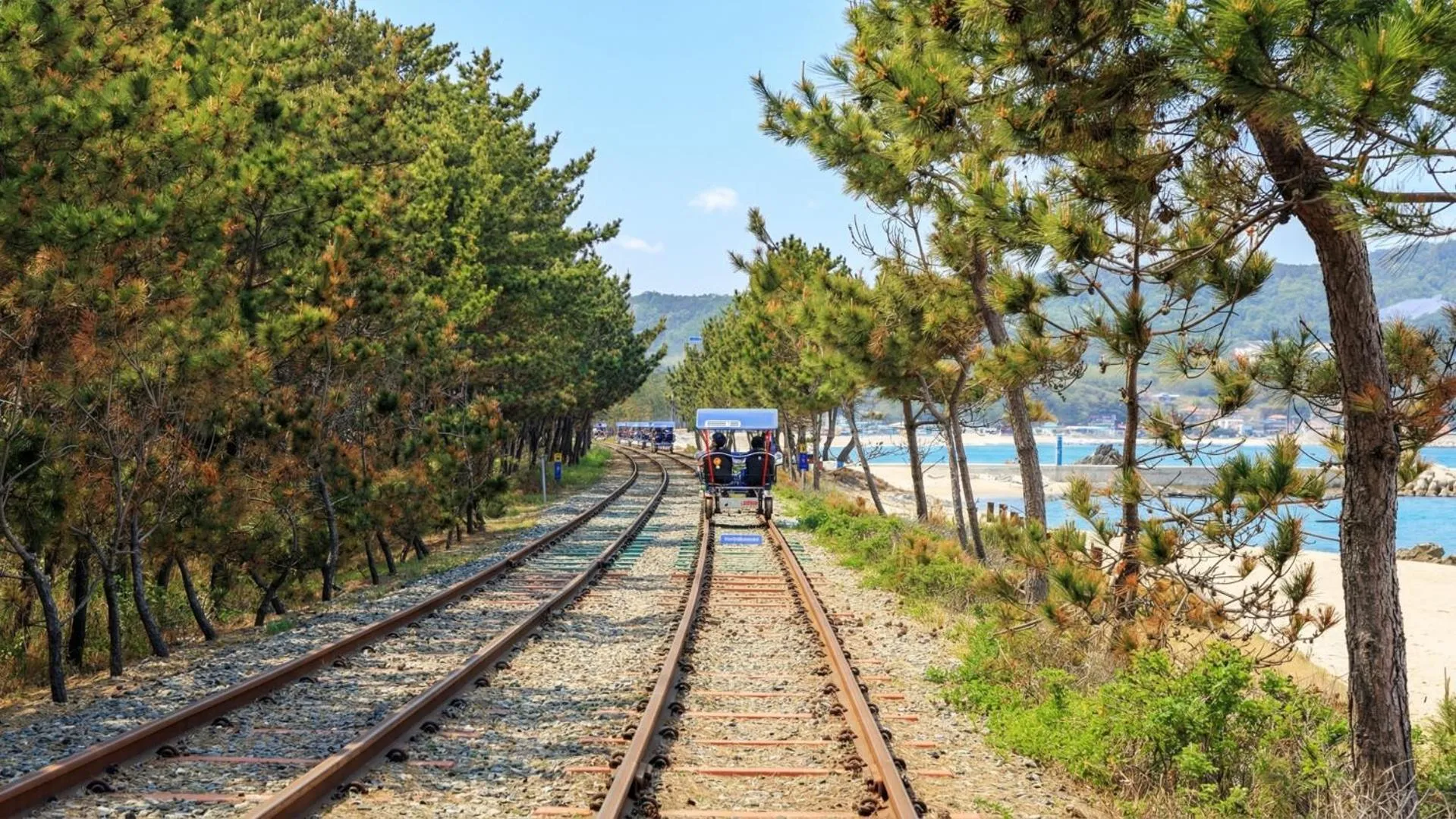 Property building in Samcheok Donghae Pension