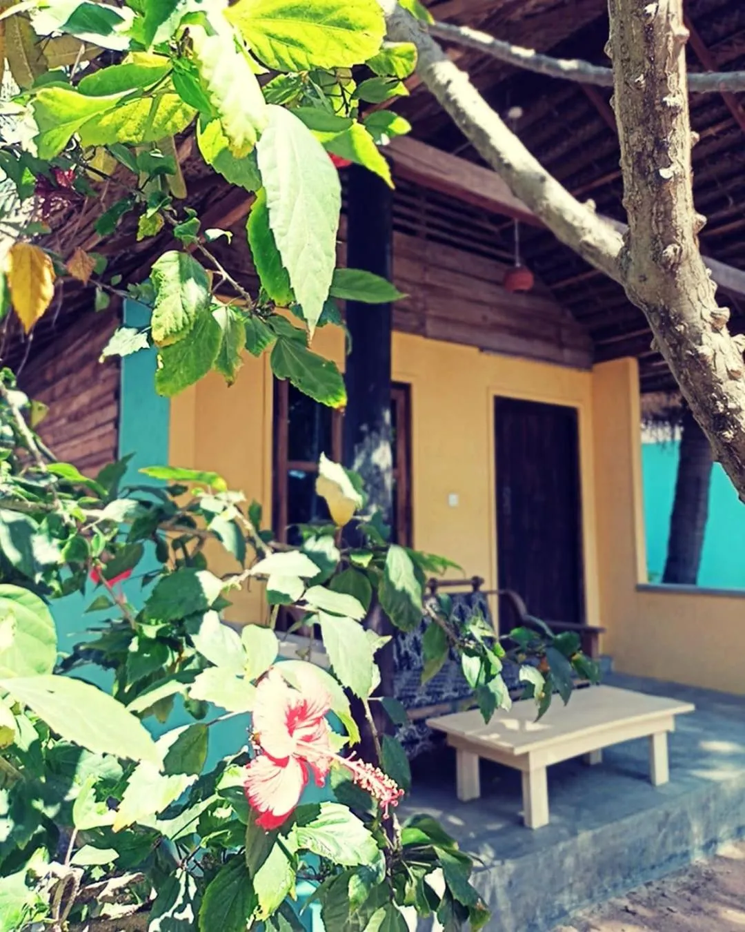 Garden in Arne's Place