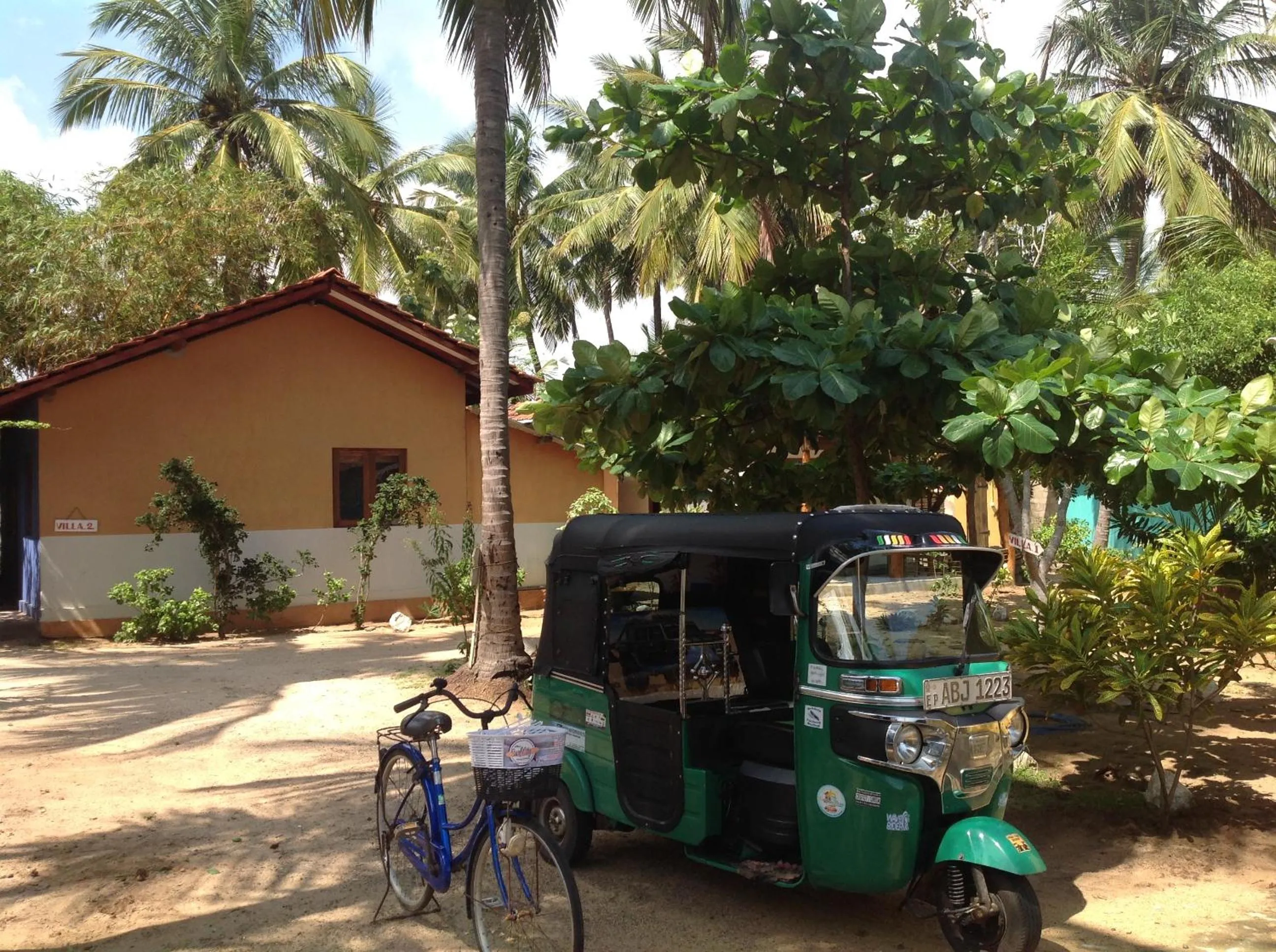 Natural landscape in Arne's Place