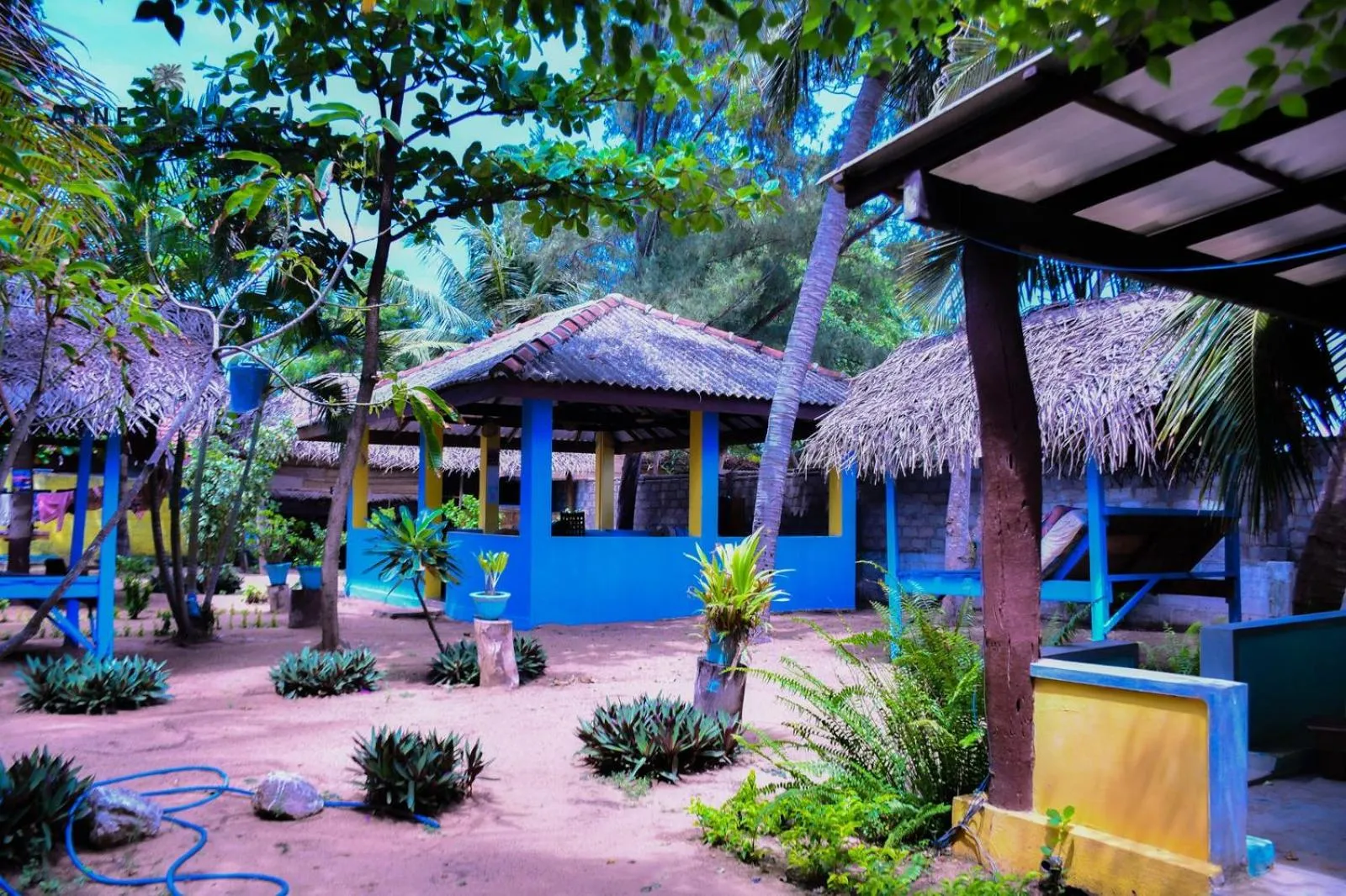 View (from property/room) in Arne's Place