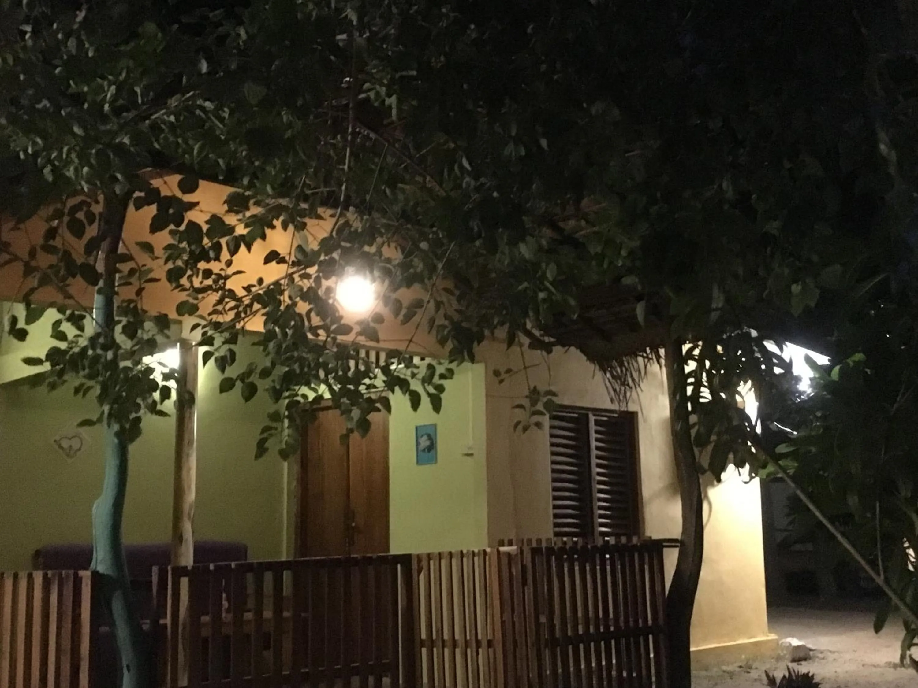 Garden view in Arne's Place