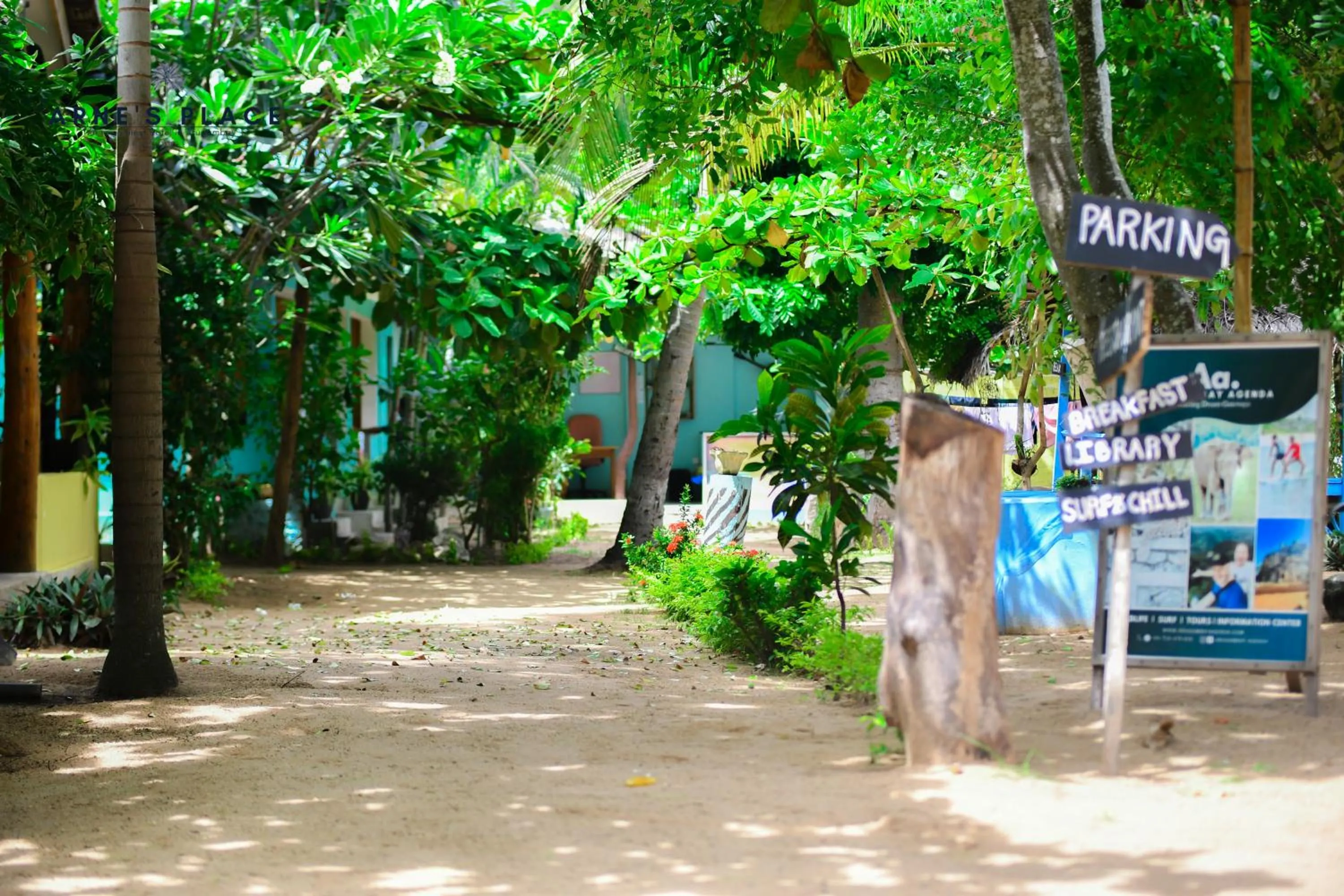 Garden in Arne's Place