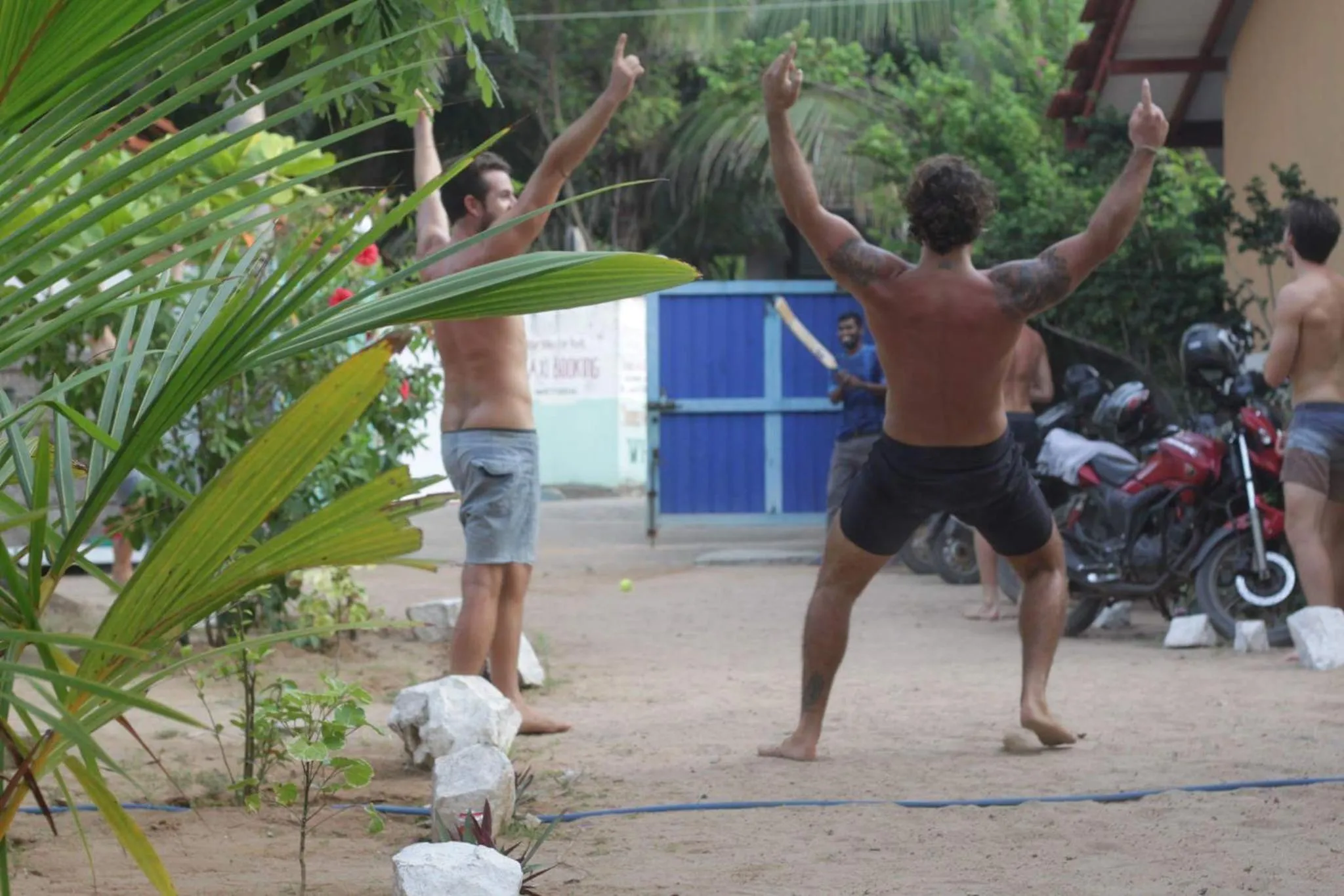 Sports in Arne's Place