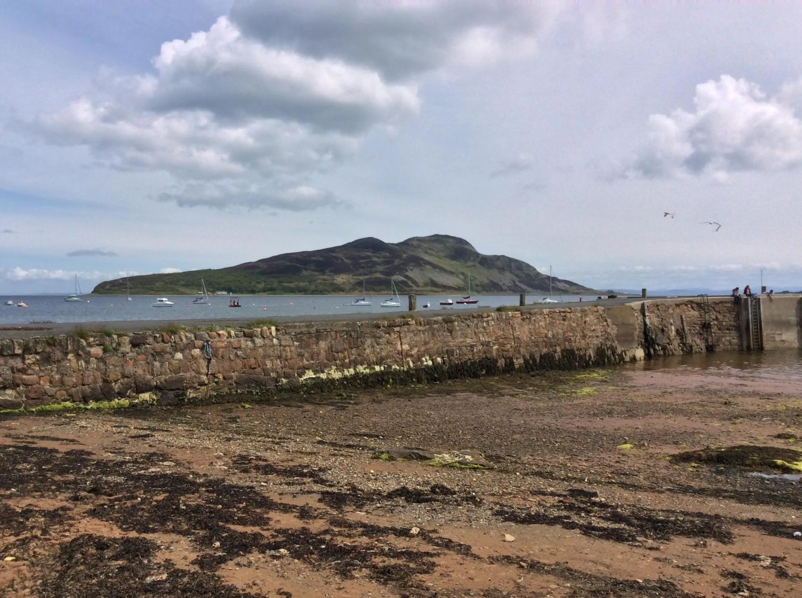 Neighbourhood in Stonewater House Vegan Bed and Breakfast