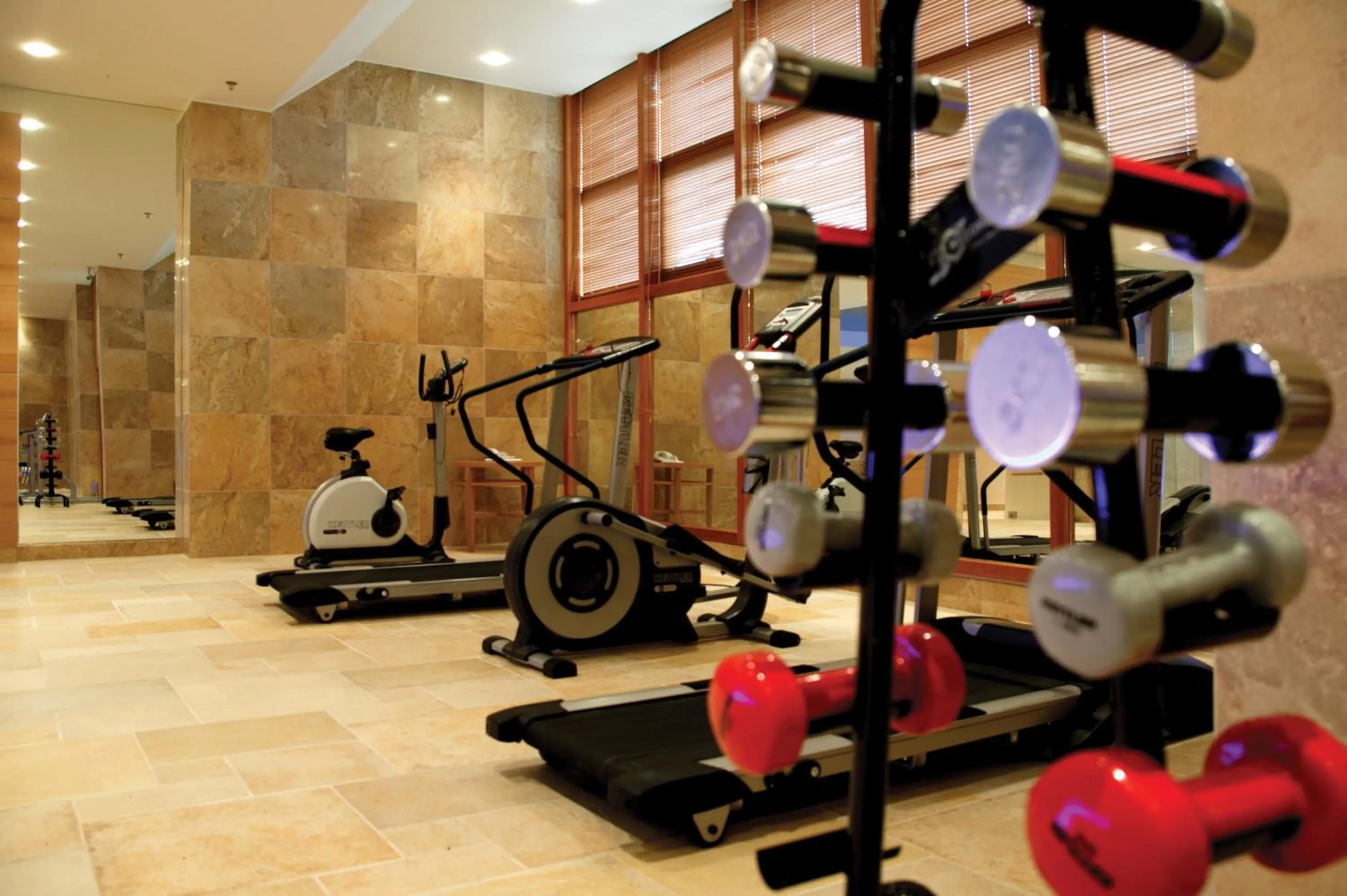 Fitness centre/facilities in Divani Meteora Hotel
