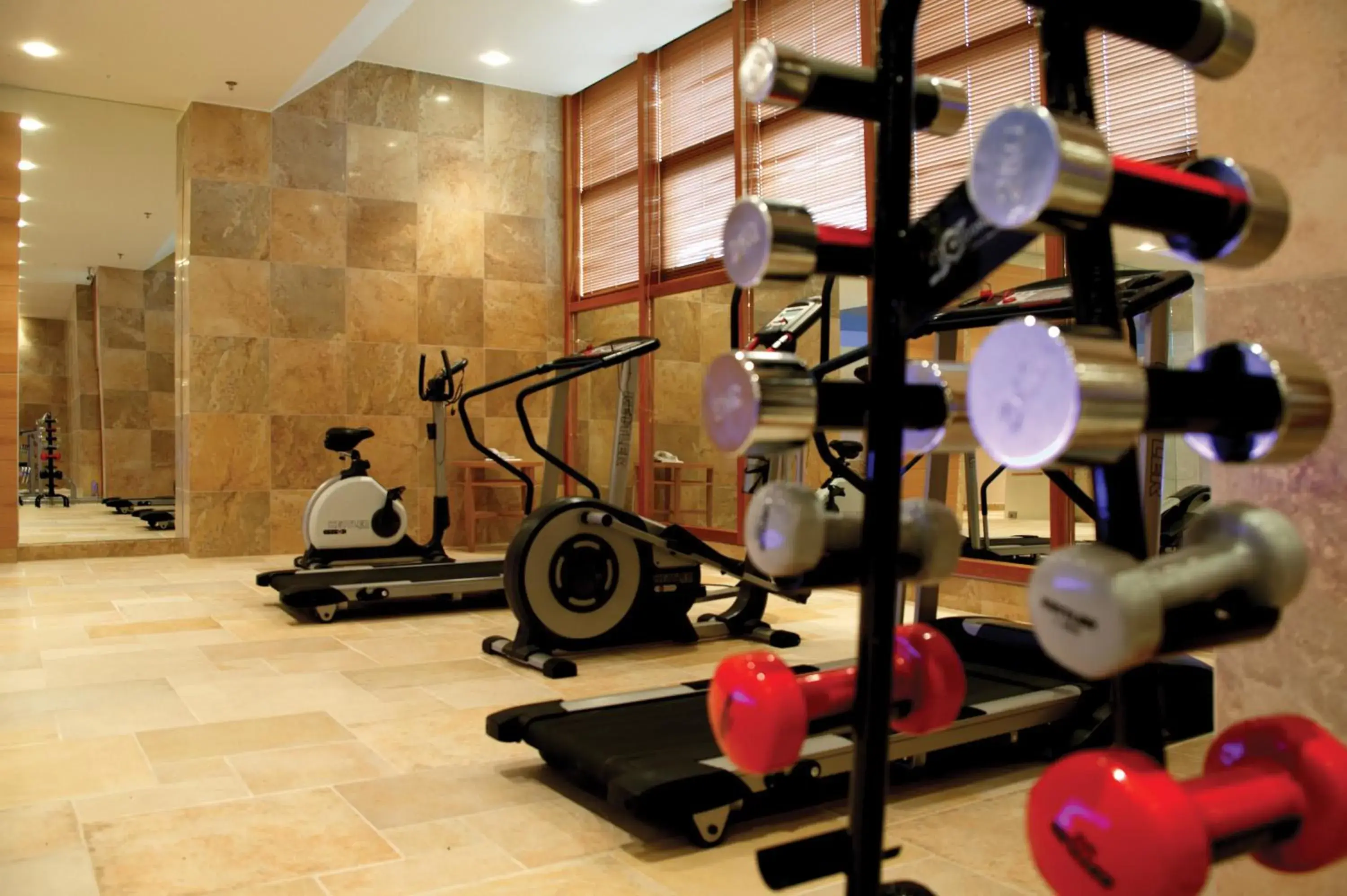 Fitness centre/facilities in Divani Meteora Hotel Fitness centre/facilities in Divani Meteora Hotel
