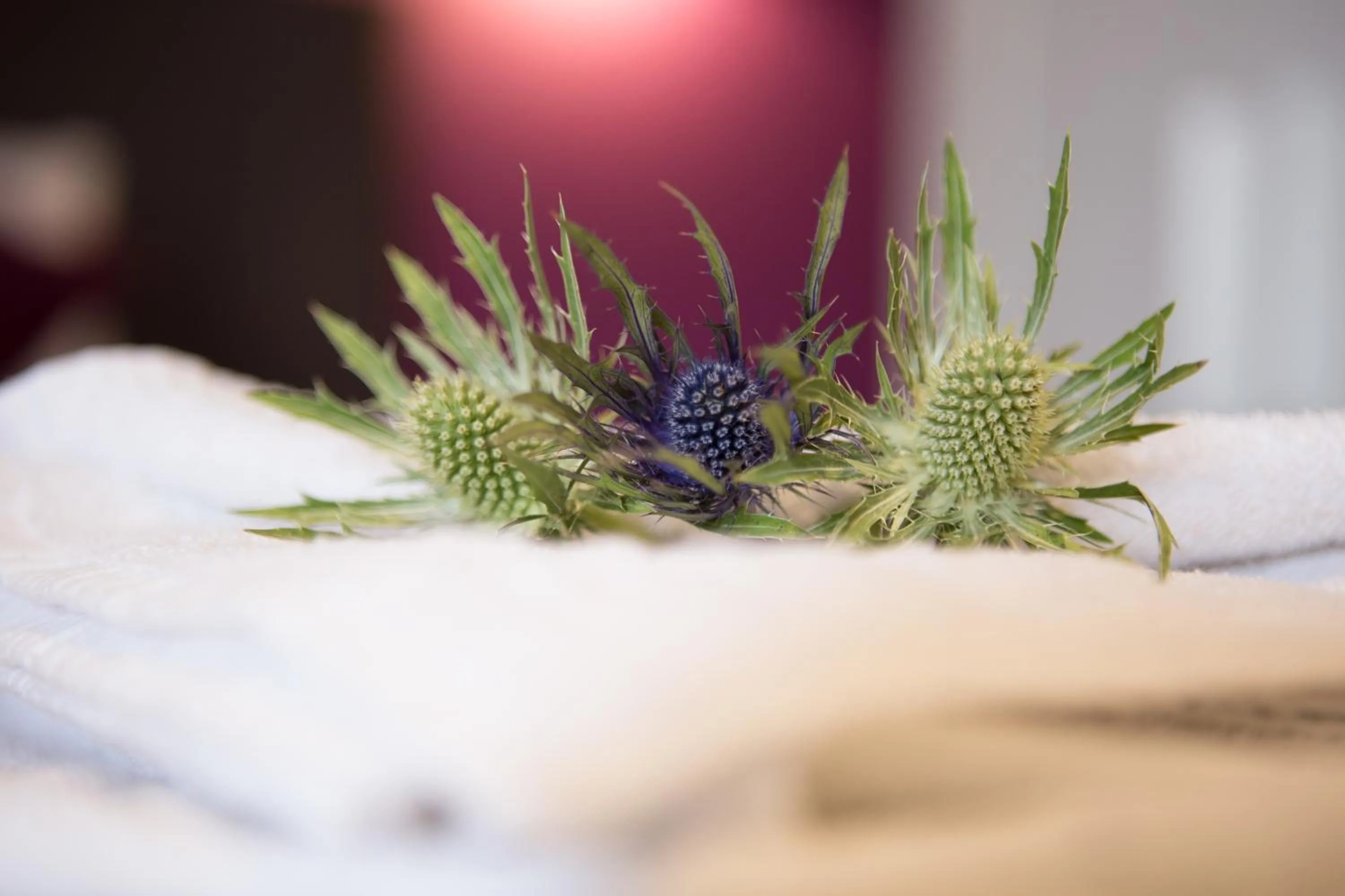 Bed in The Spires Serviced Apartments Edinburgh