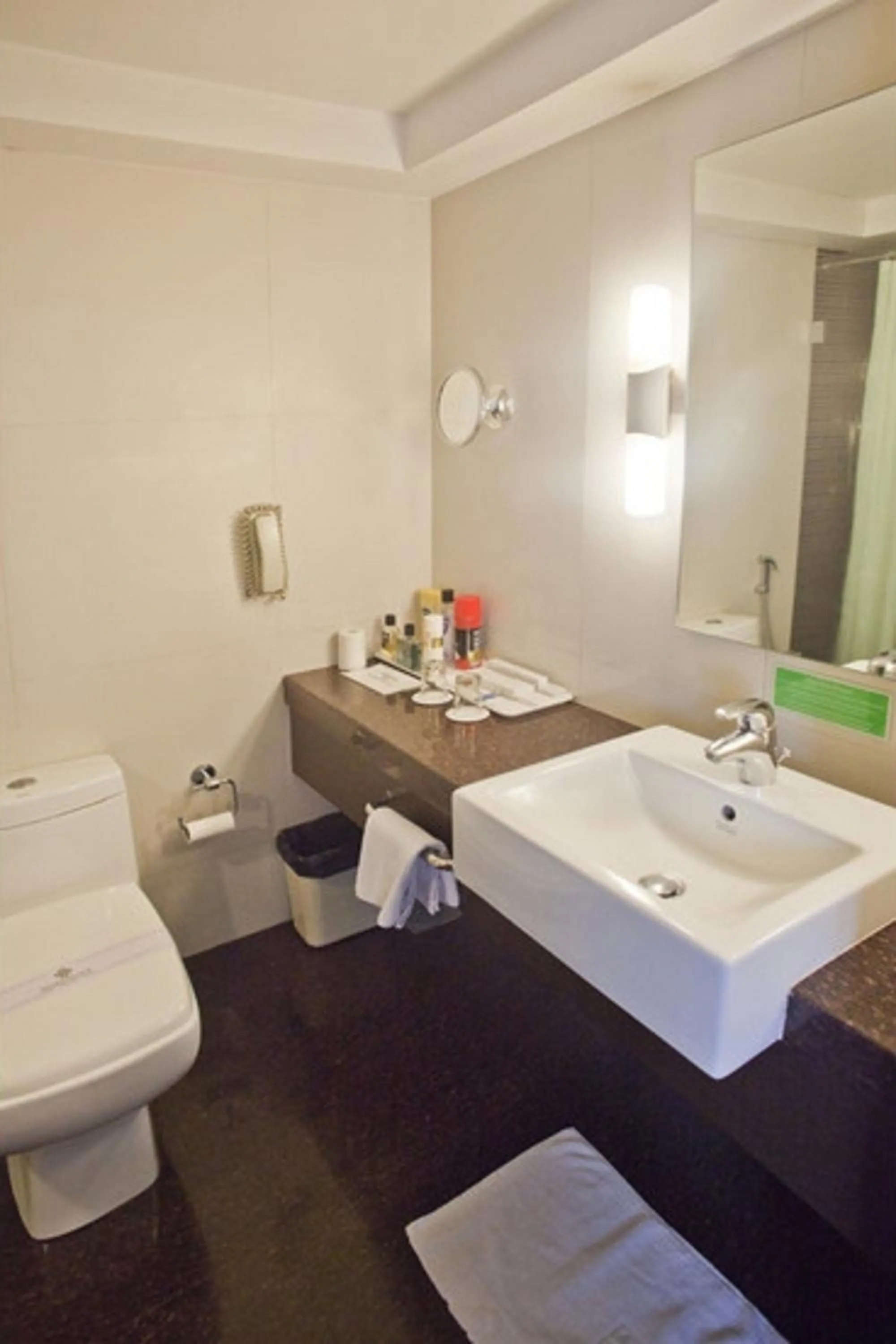 Toilet in Hotel Silver Palace