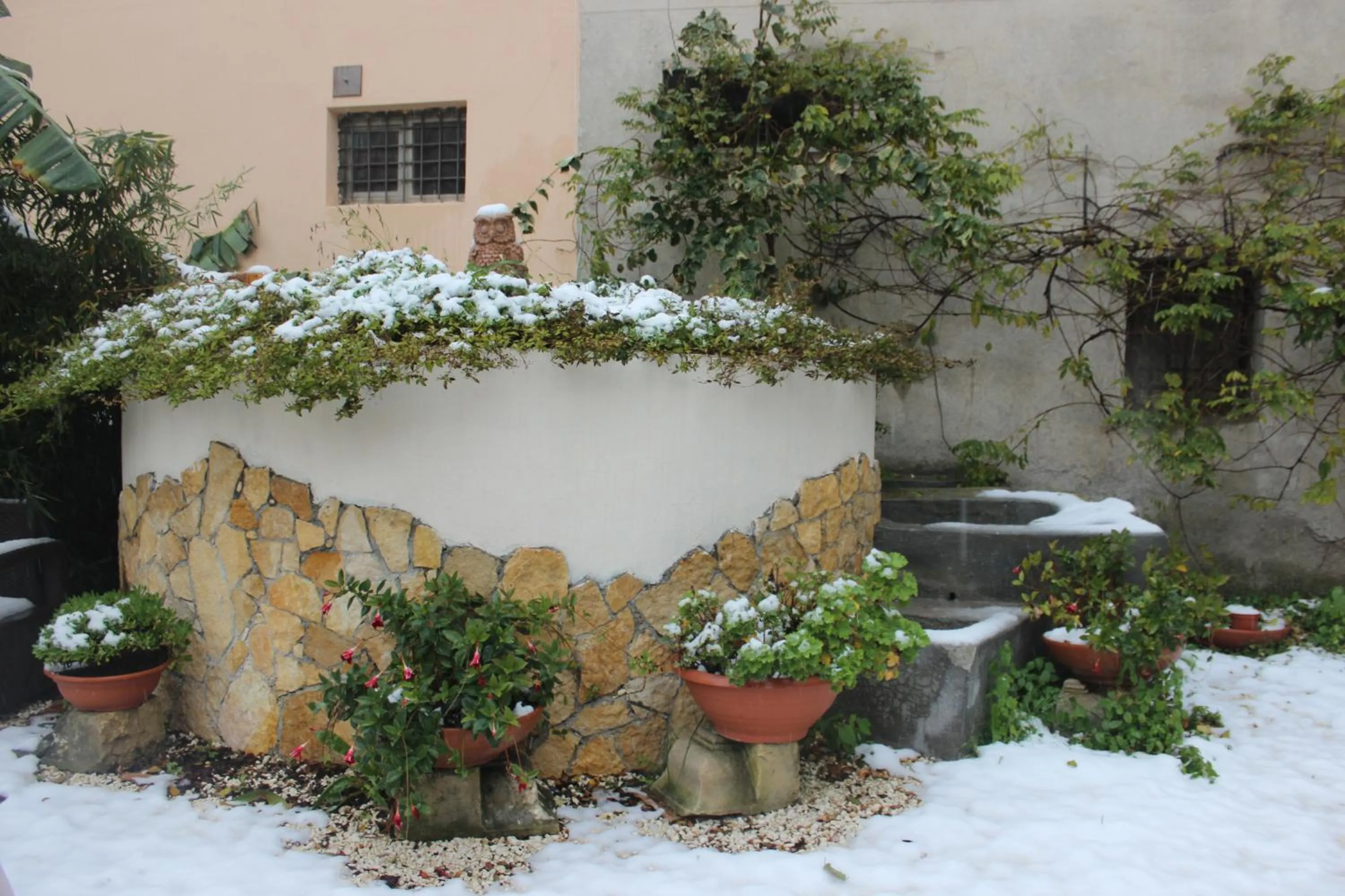 Garden view in B&B Villa Raineri