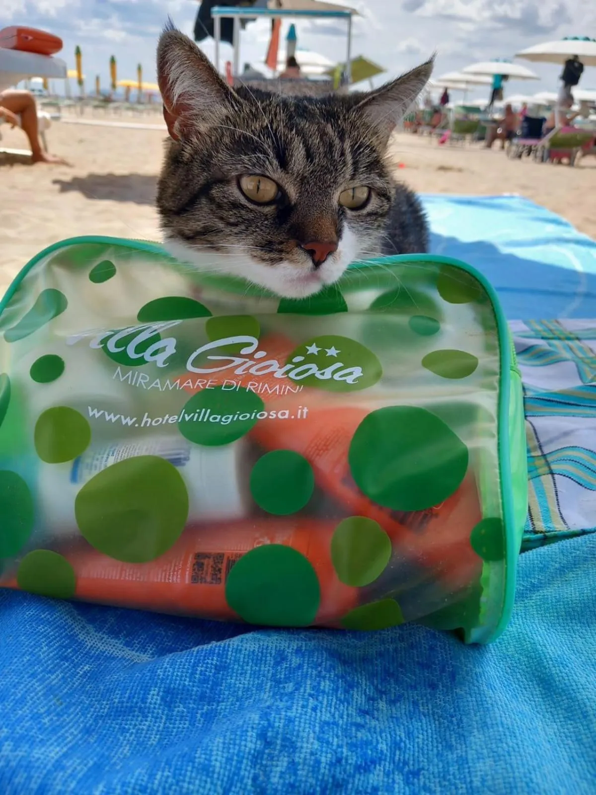 Hotel Villa Gioiosa - Beach & Bistrot