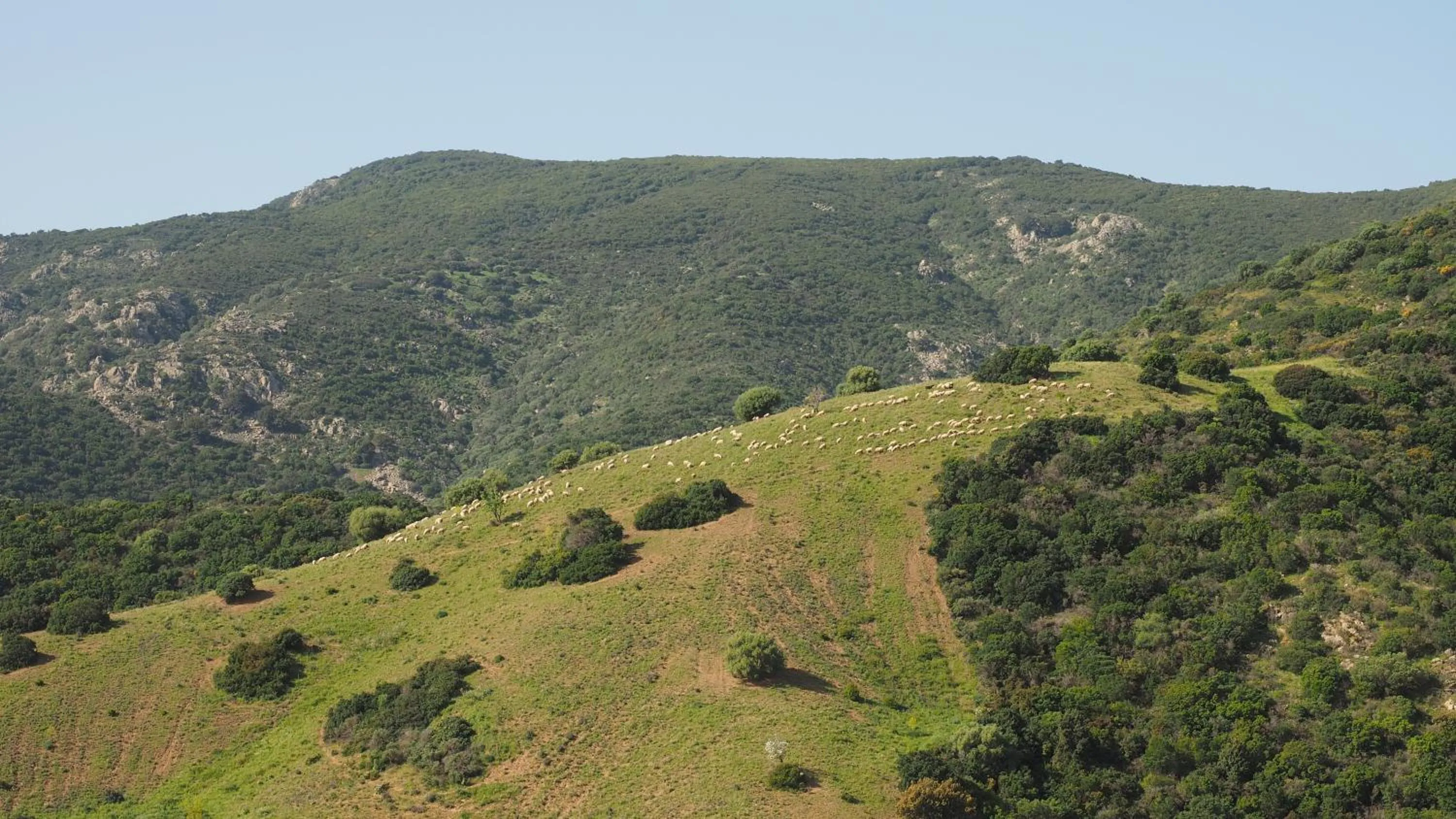 Natural landscape in Sa Teria Village - Appartamenti -
