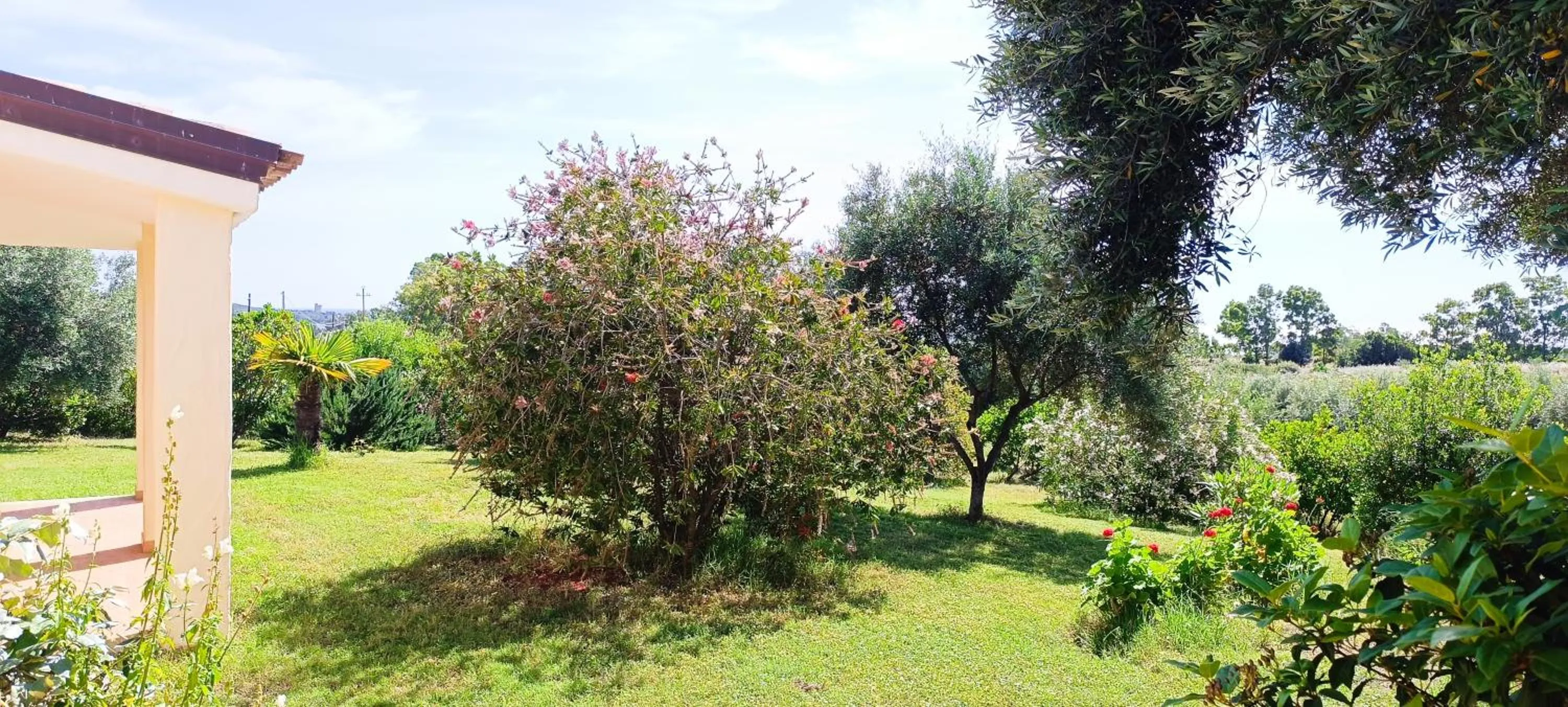 Sa Teria Village - Appartamenti -