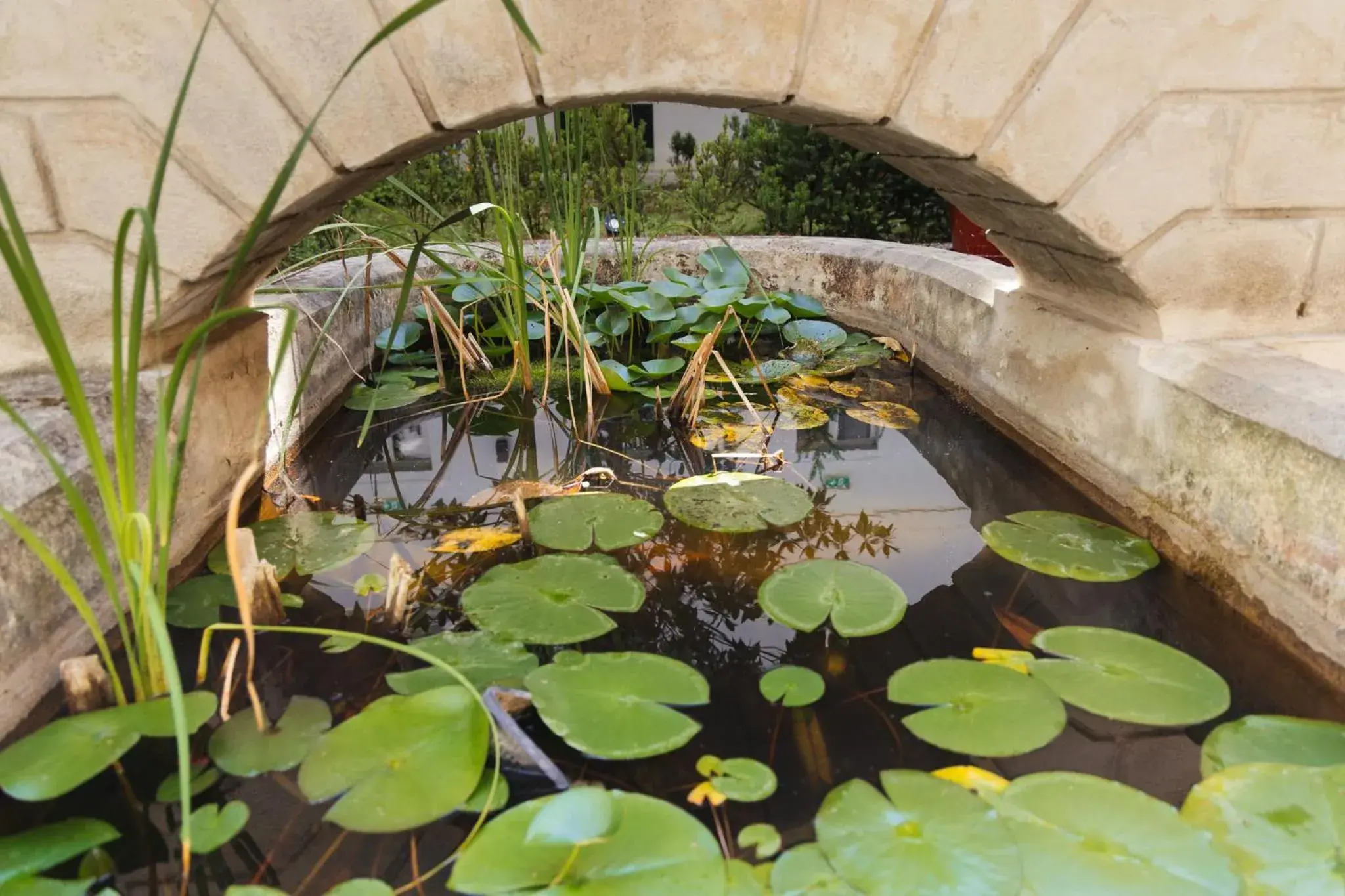 Breakfast in myNext - Johannesgasse Apartments Breakfast in myNext - Johannesgasse Apartments