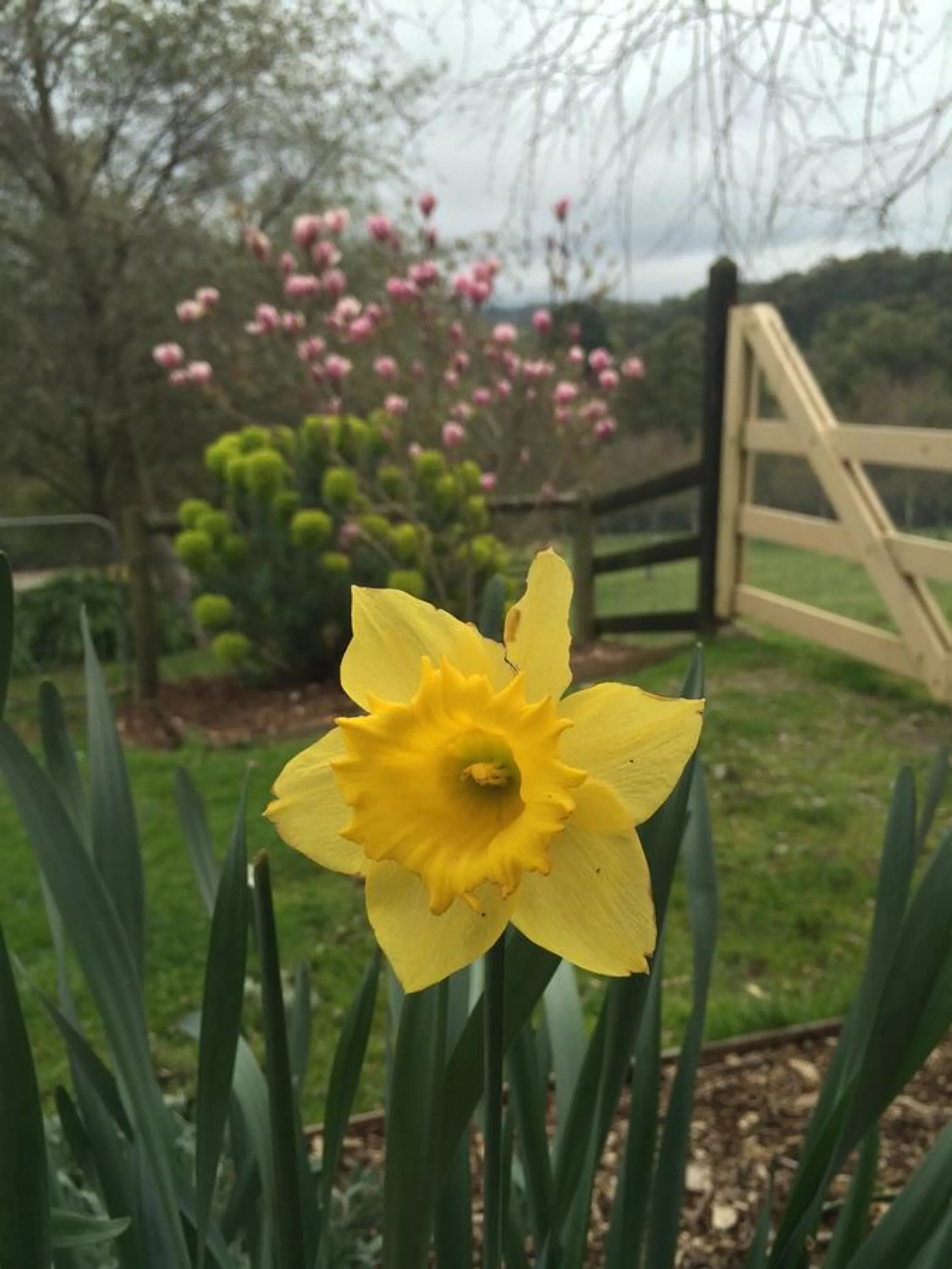 Garden in Emerald Ridge