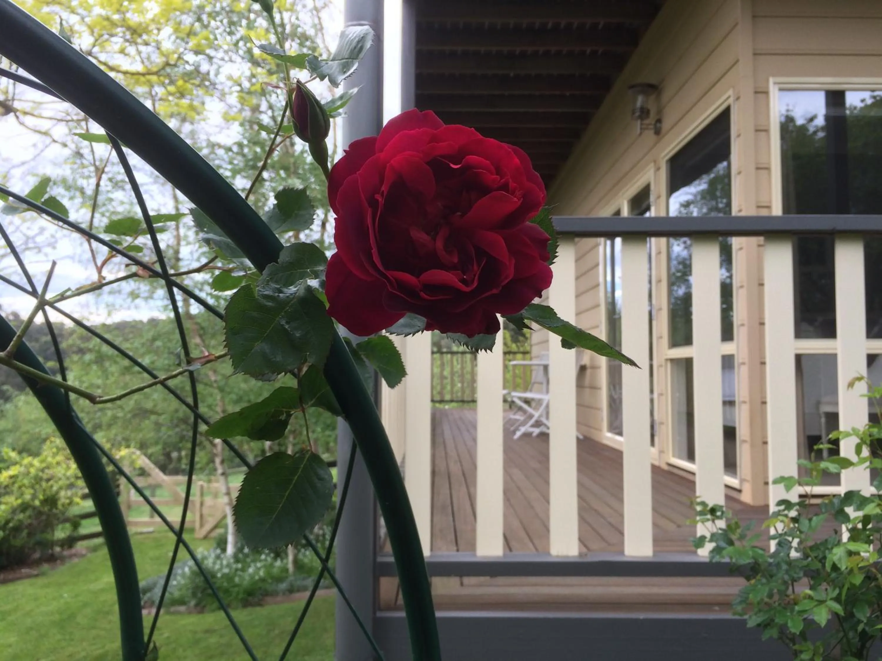 Garden in Emerald Ridge