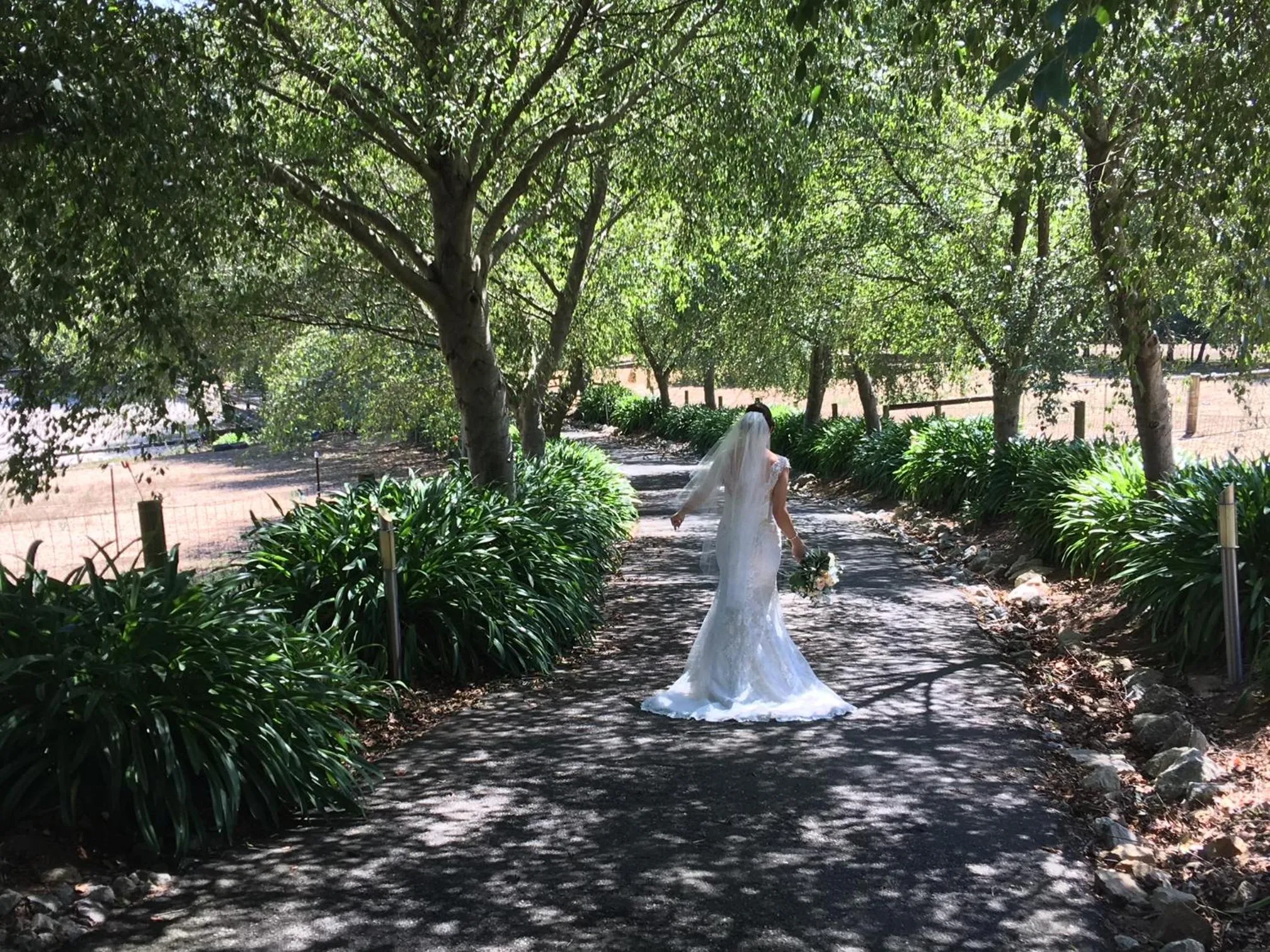 Garden in Emerald Ridge