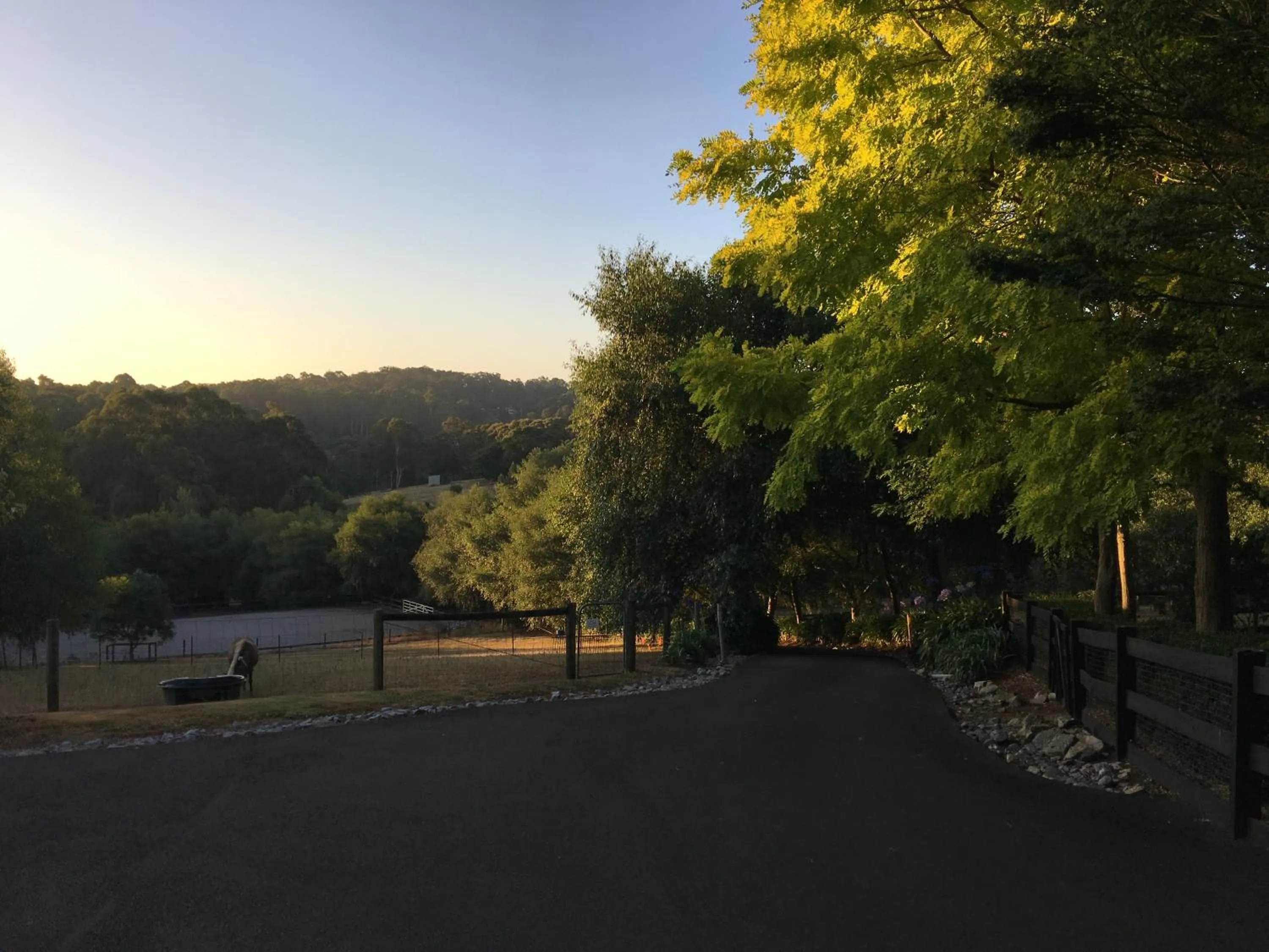Natural landscape in Emerald Ridge