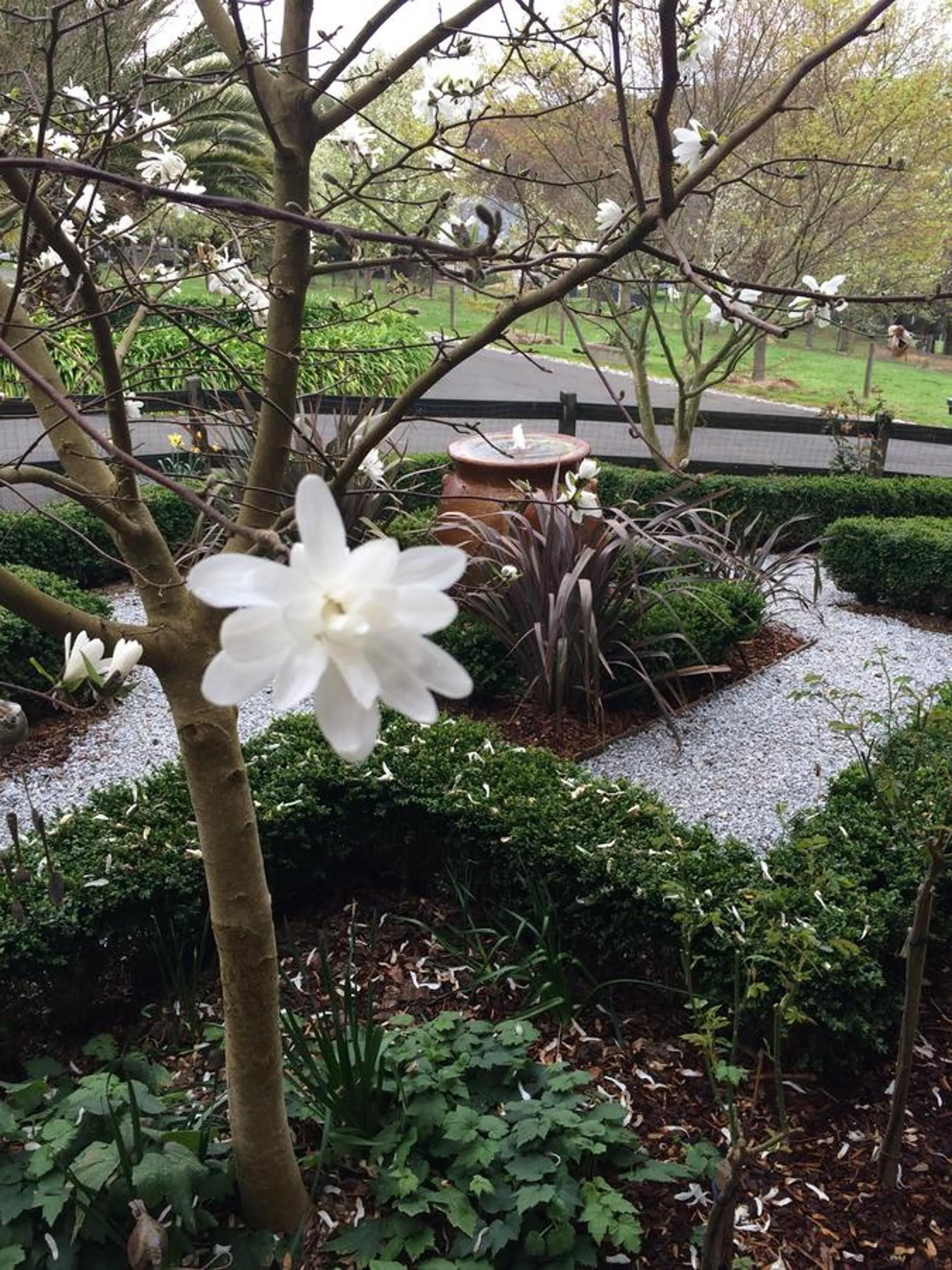 Garden in Emerald Ridge