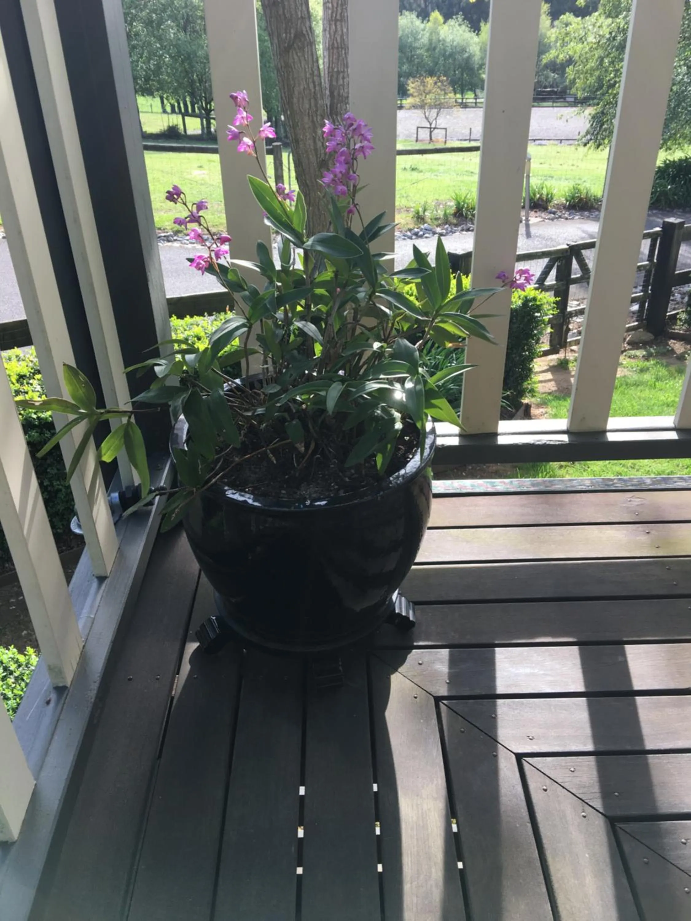 Garden in Emerald Ridge