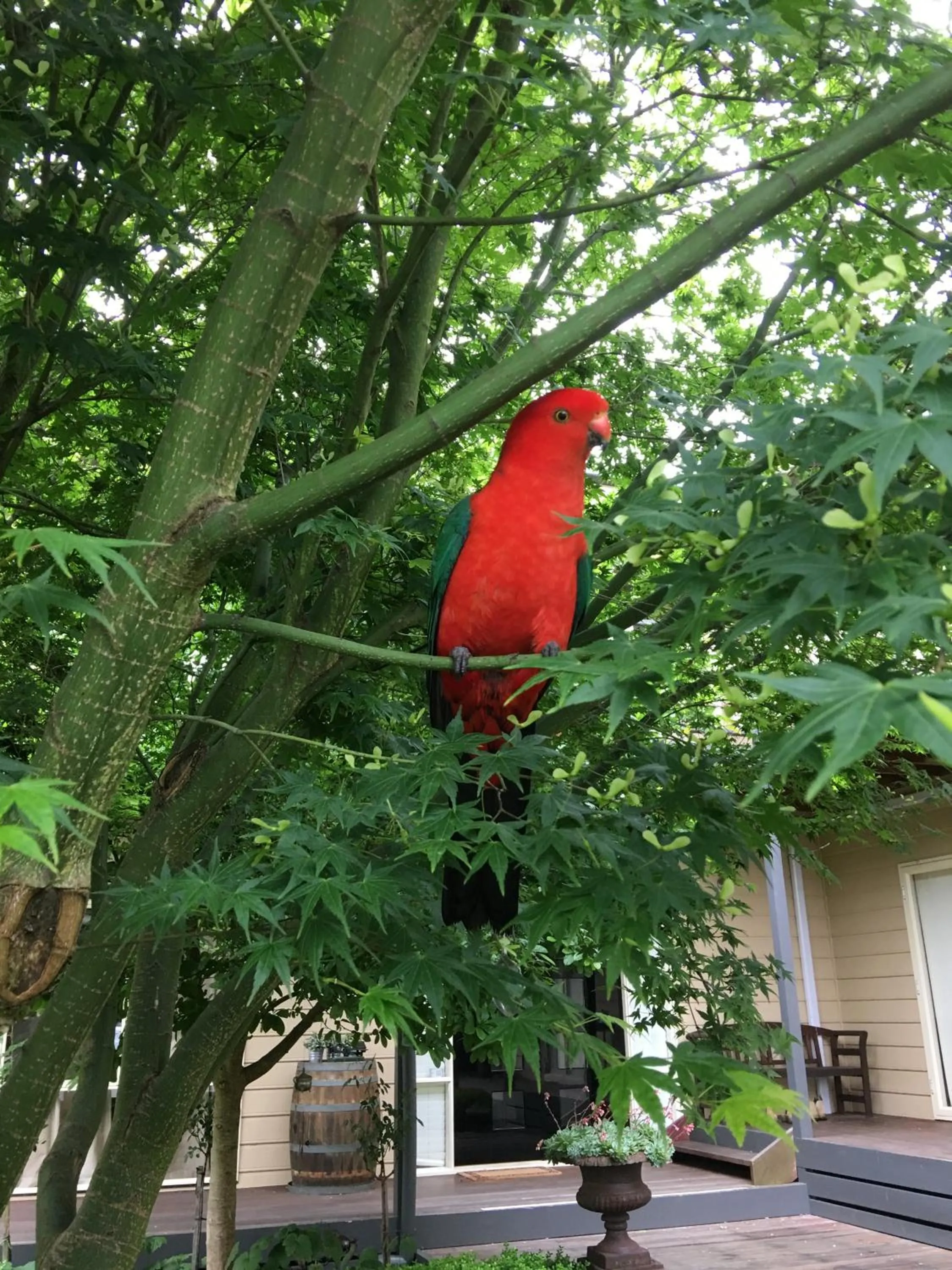 Garden in Emerald Ridge