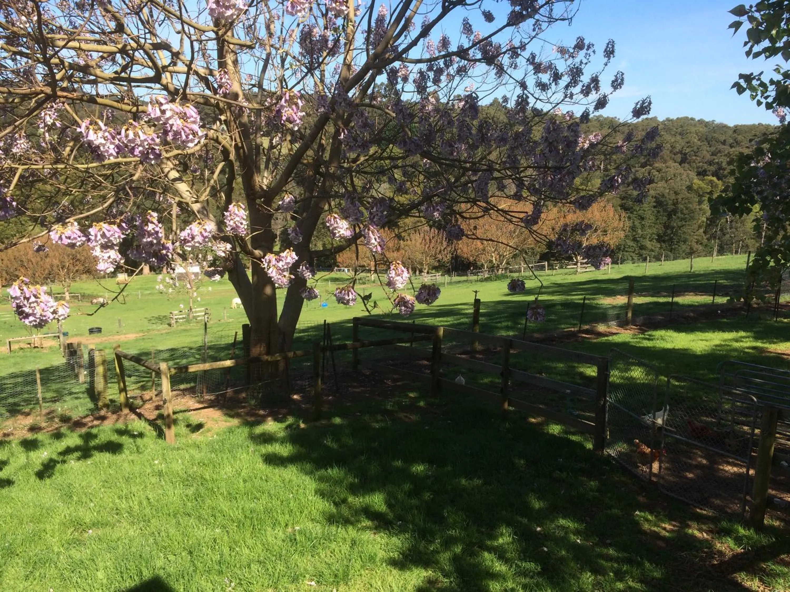 Garden in Emerald Ridge