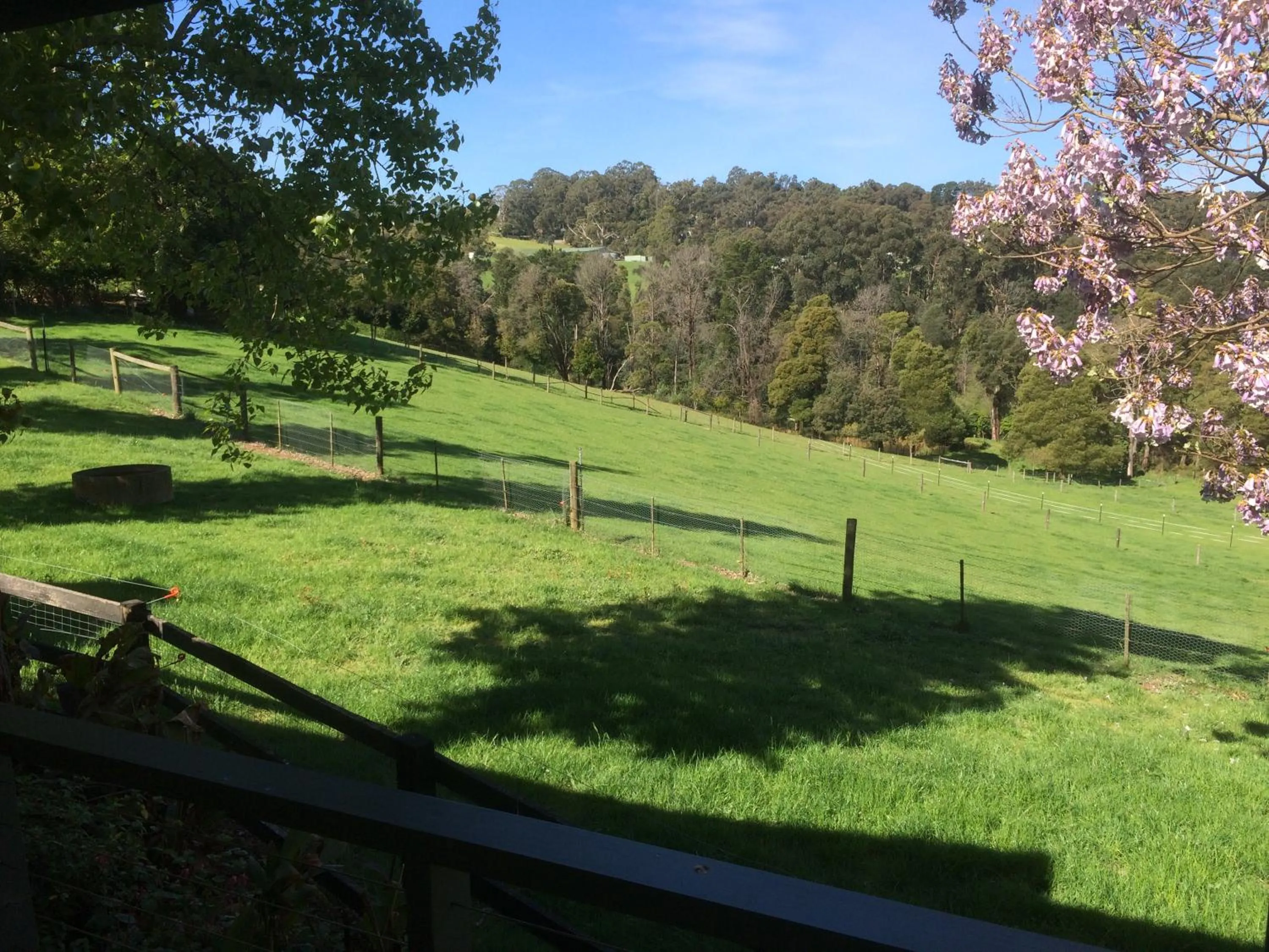 Garden in Emerald Ridge
