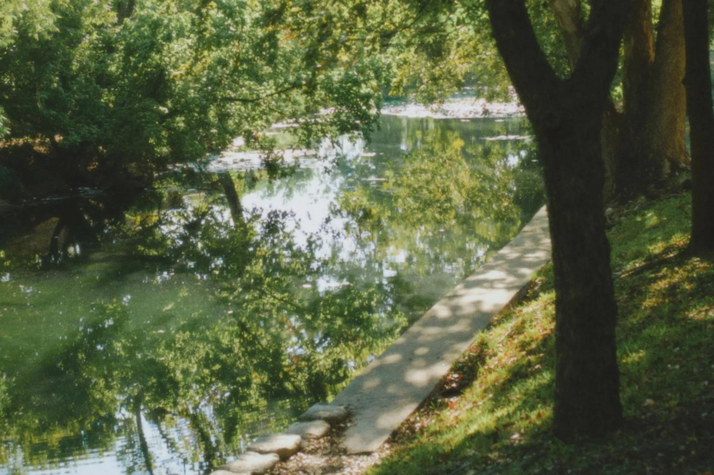 Natural landscape in Petit Cowboy